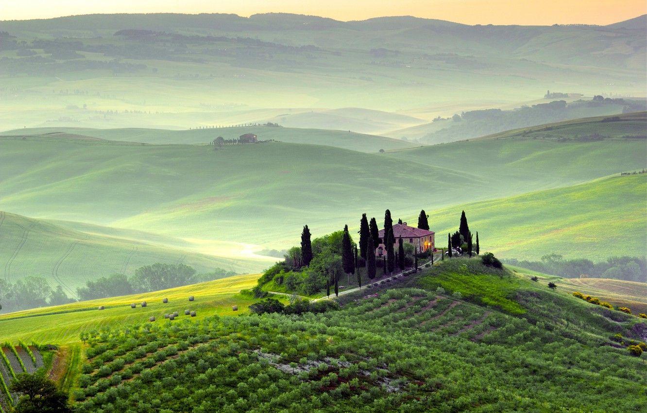 1332x850 Wallpaper greens, trees, landscape, nature, fog, dawn, hills