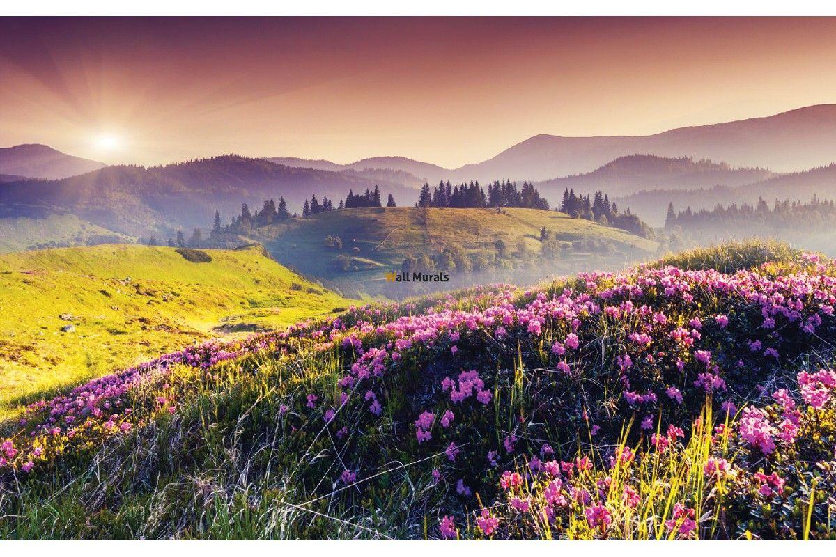 1200x800 Wallpaper mural Beautiful Toscana and flowers