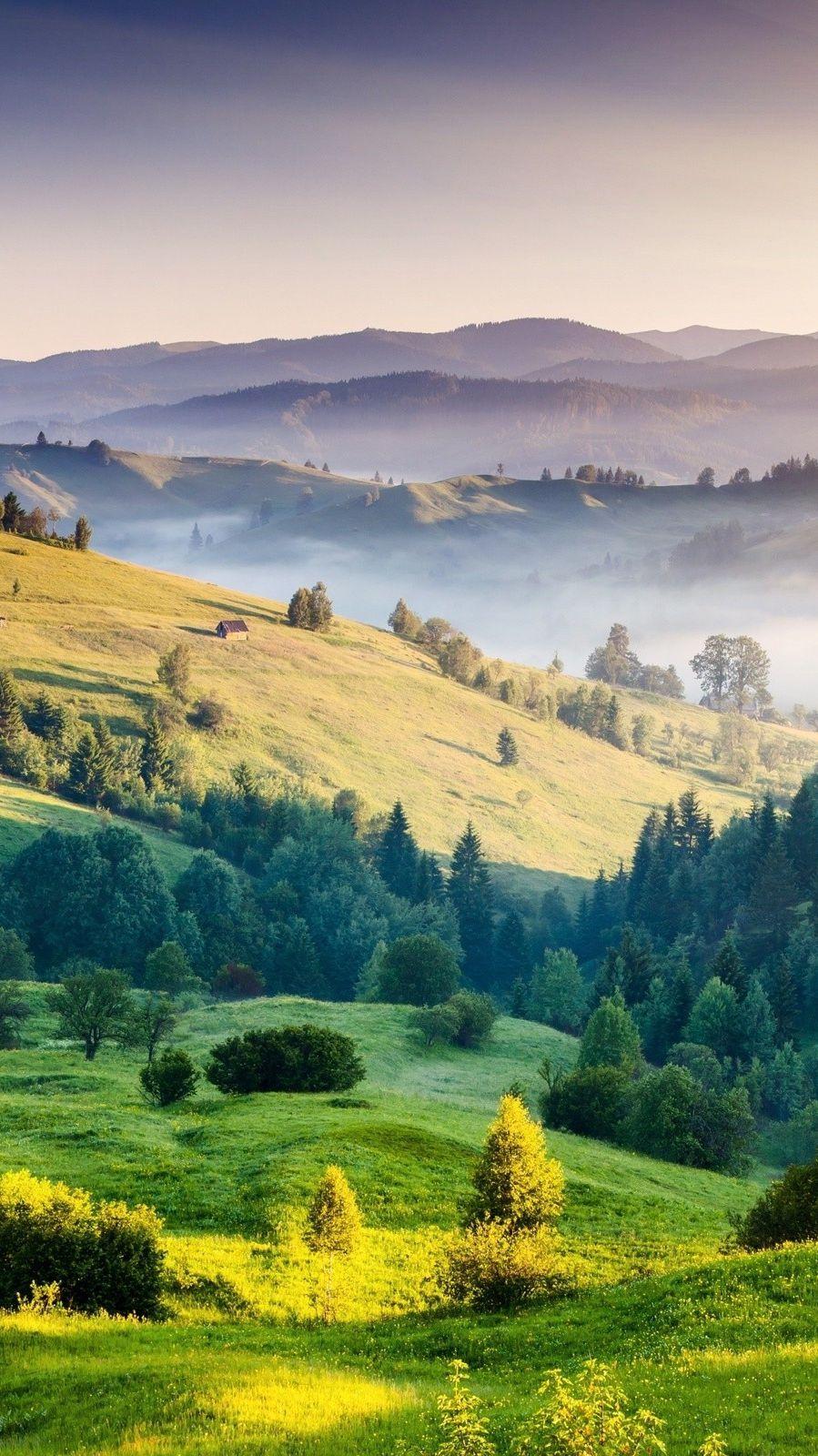 899x1600 Italy Toscana Wallpaper IPhone Wallpaper. Scenery