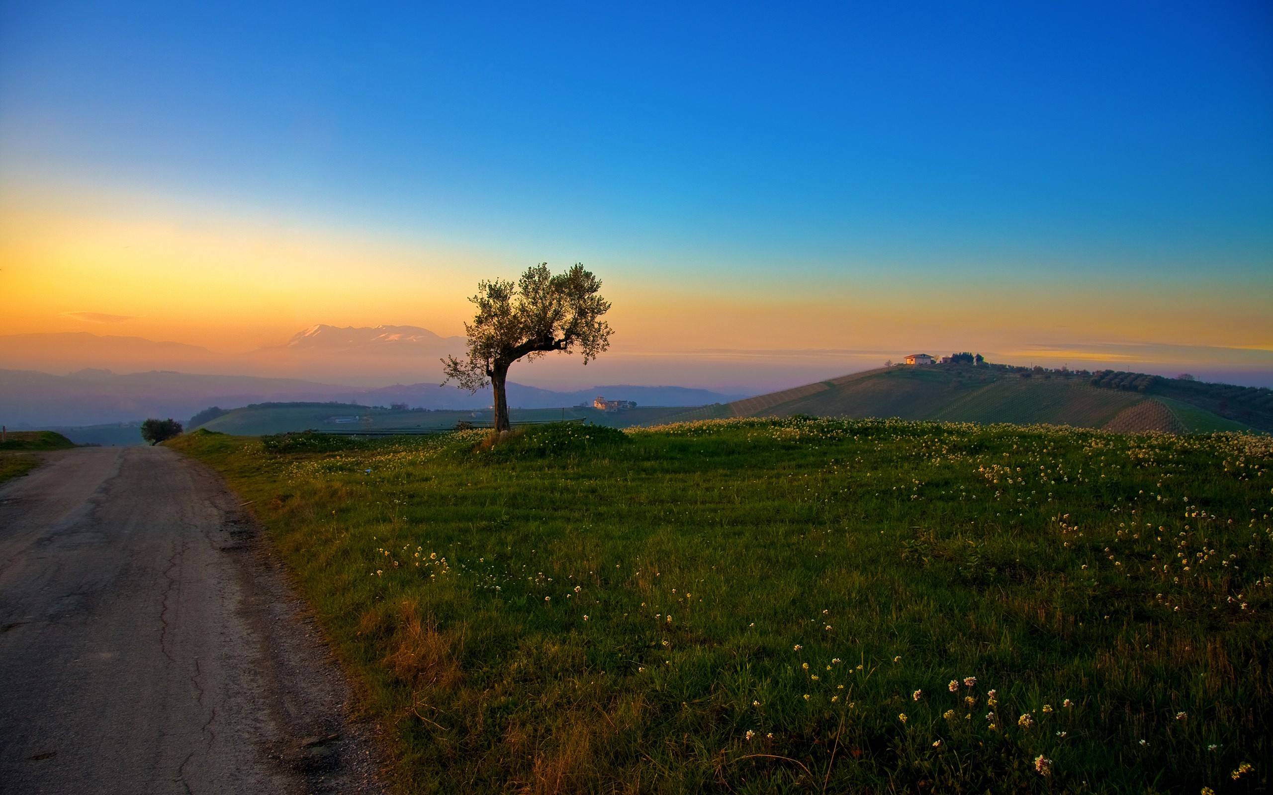 2560x1600 Tuscany Wallpaper