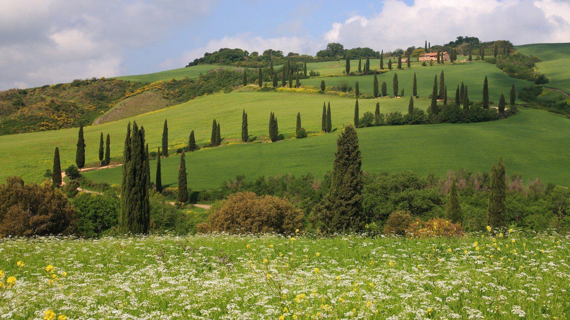 1920x1080 landscapes, Hills, Italy, Siena, Toscana, Tuscany