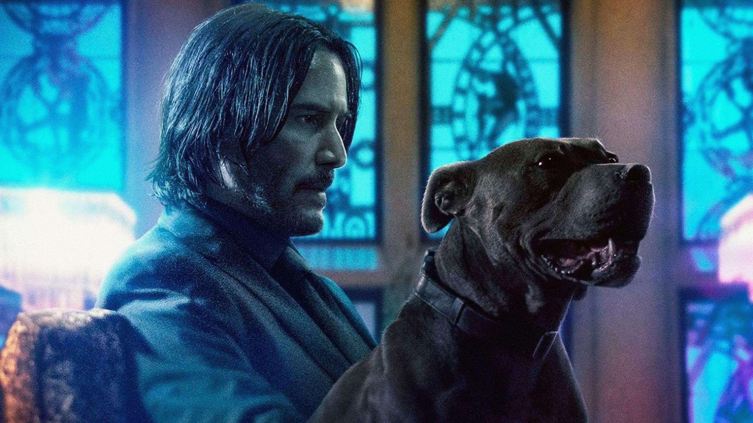 2560x1440 John Wick Chapter 3 1440P Resolution Wallpaper, HD