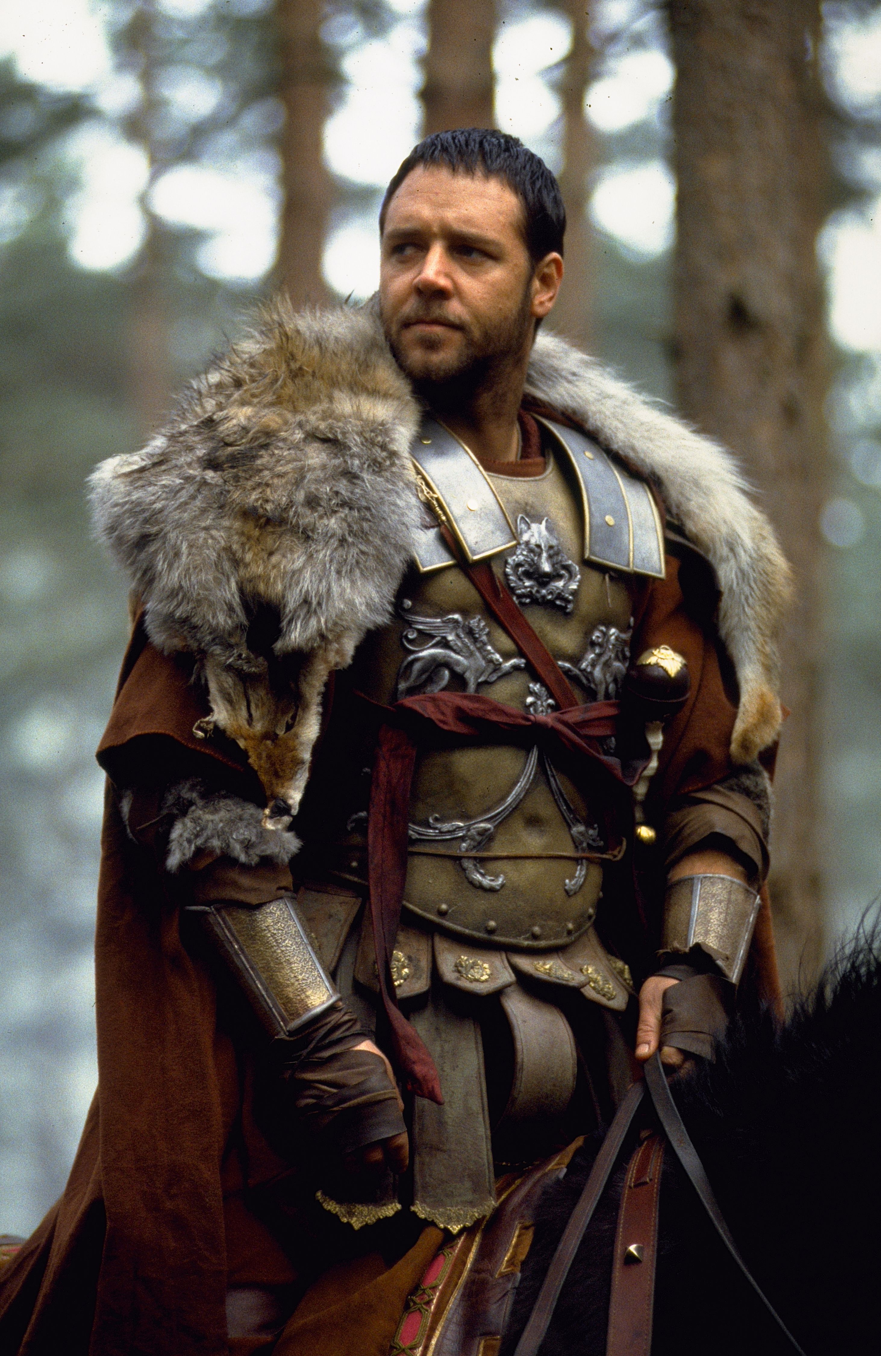 2925x4500 Gladiator maximus