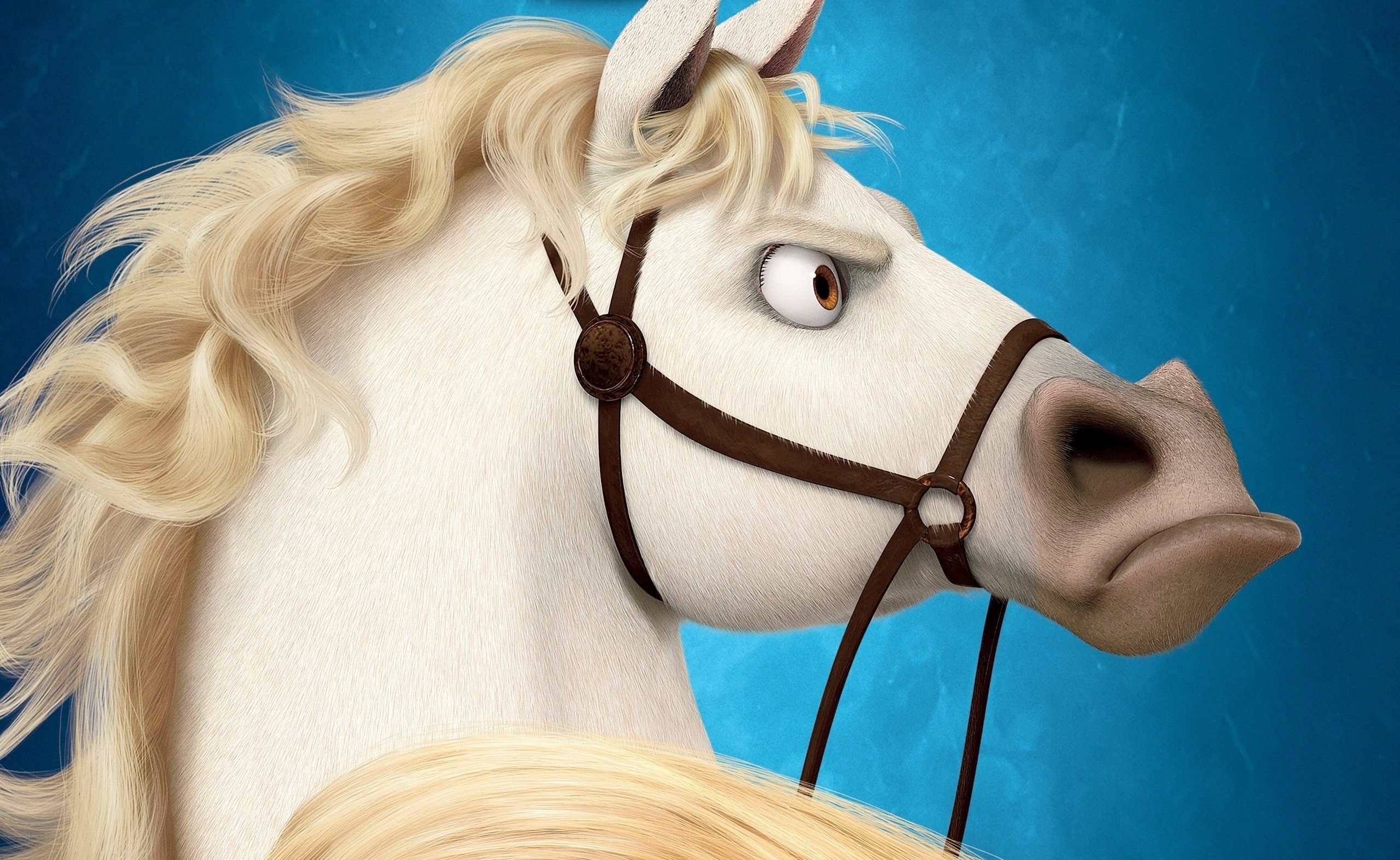 2560x1573 Download Maximus (Tangled) Movie Tangled HD Wallpaper