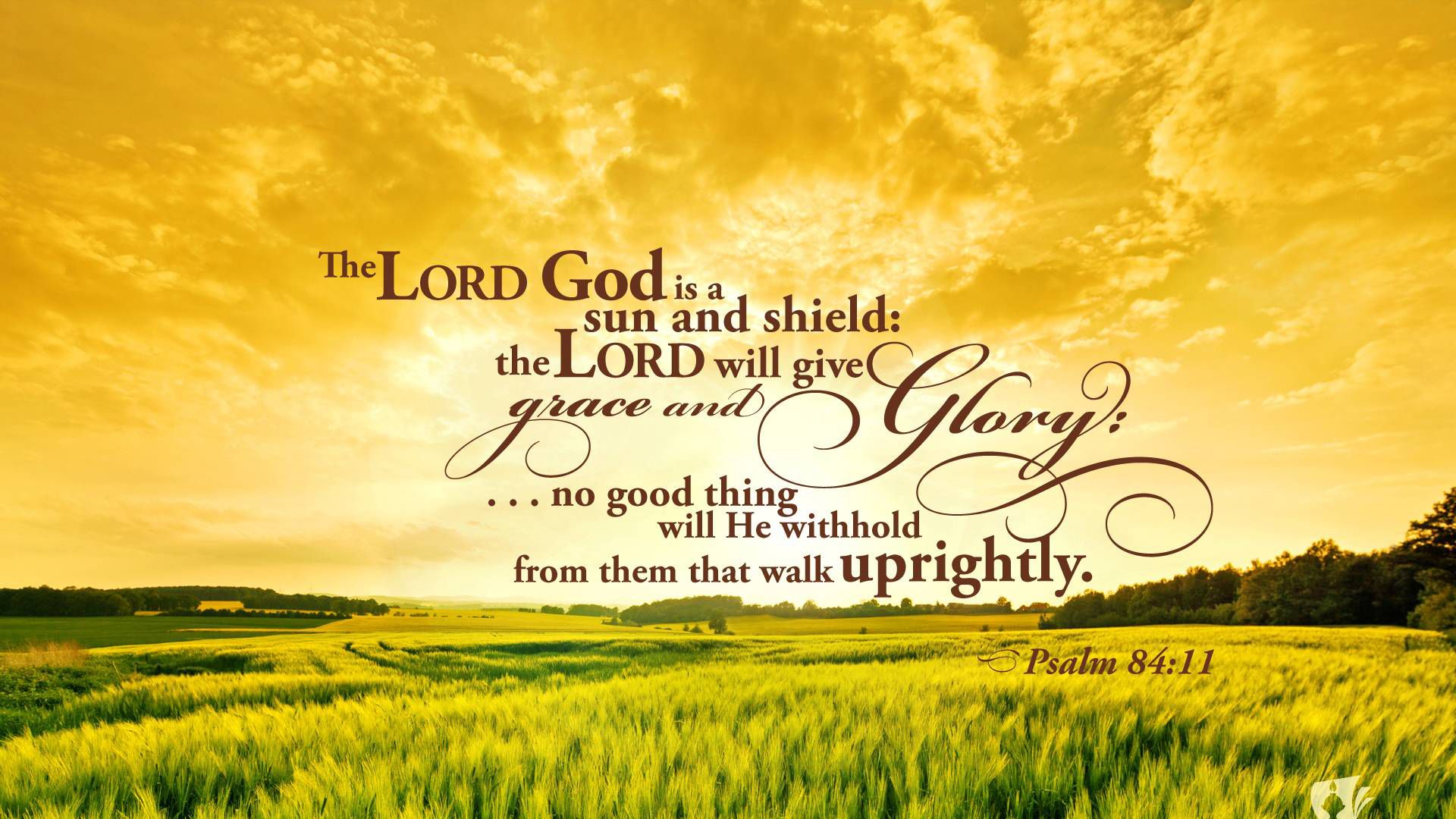1920x1080 The Lord God Is A Sun And Shield HD Bible Verse Wallpaper