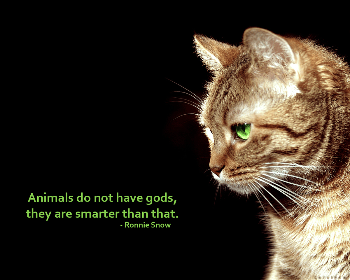1200x960 Acerbic Atheist - #Atheist wallpaper 5