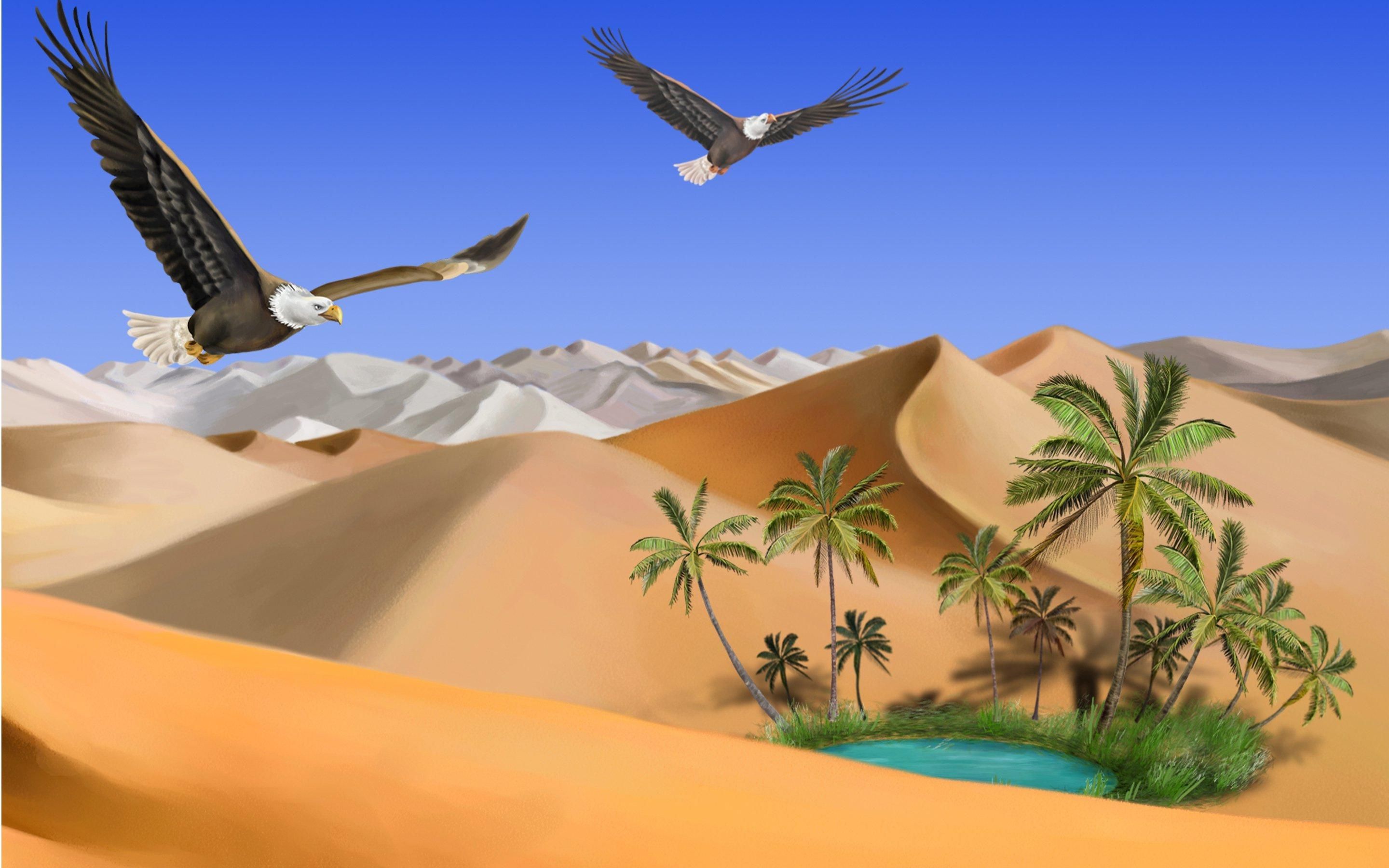2880x1800 In Praise of Bandcamp: An Oasis of Control in a World of Musical Chaos