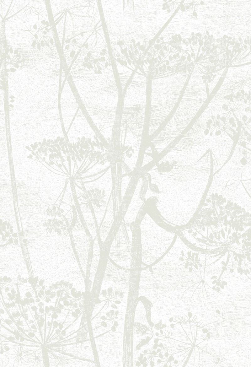 800x1169 Cole & Son Special Effects Cow Parsley wallpaper