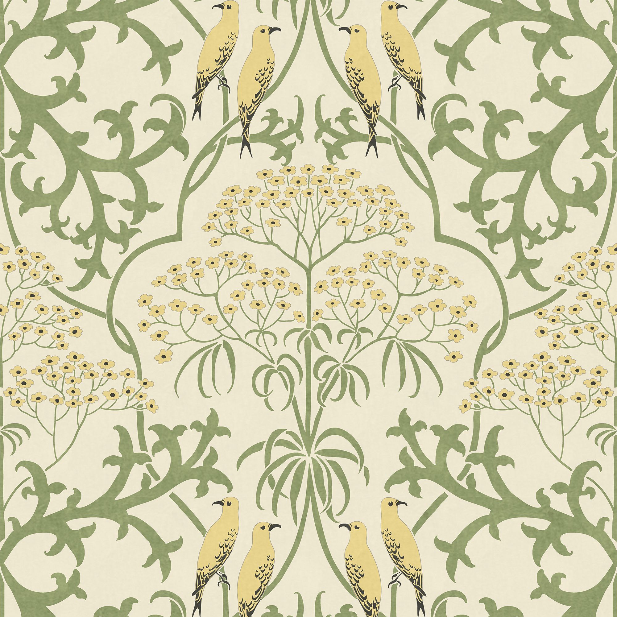 2000x2000 Fool's Parsley