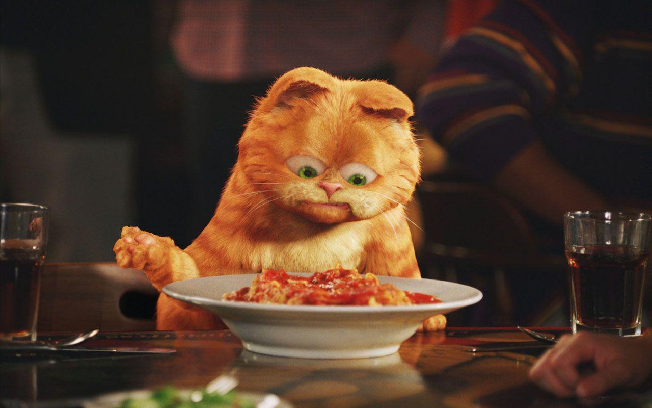 1280x800 Garfield With Lasagna Plate Wallpaper 1280×800