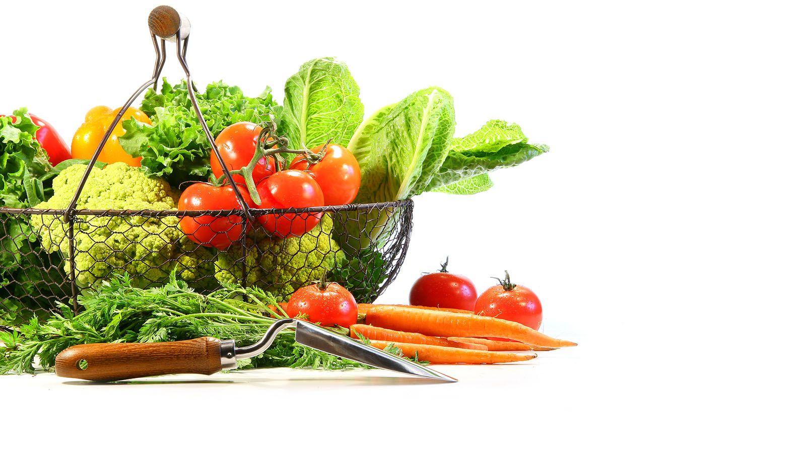 1600x900 Vegetarian Wallpaper, image collections of wallpaper