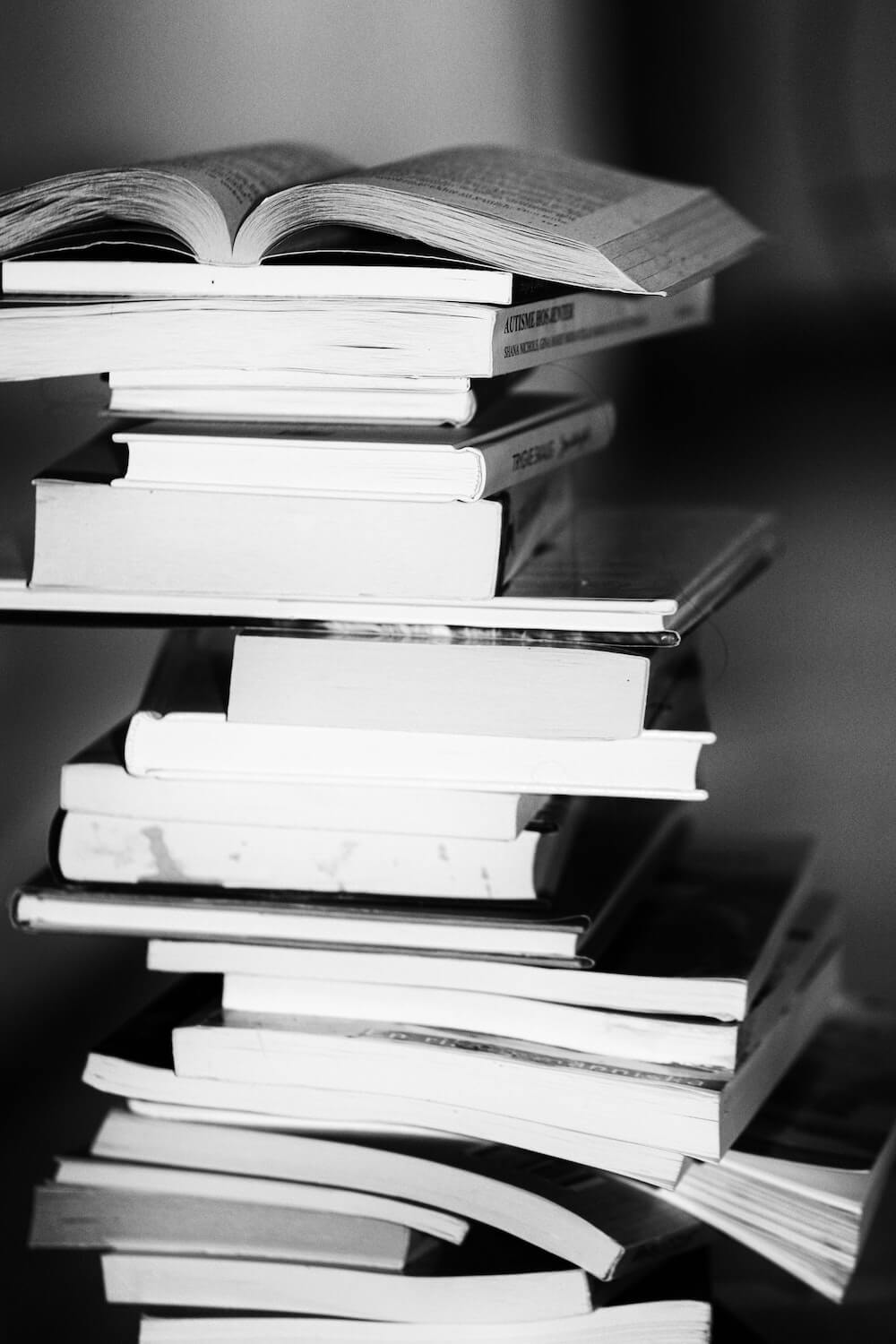1000x1500 My Three Favorite Novels of 2018