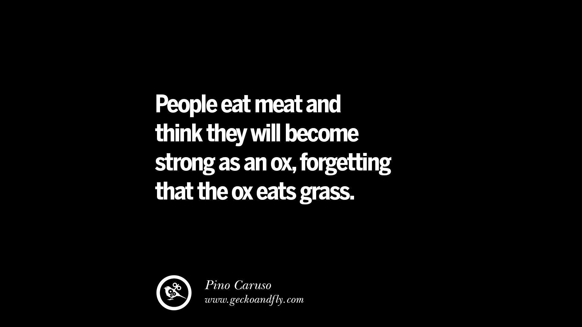 1920x1080 Quotes on Vegetarianism, Being A Vegetarian And Killing