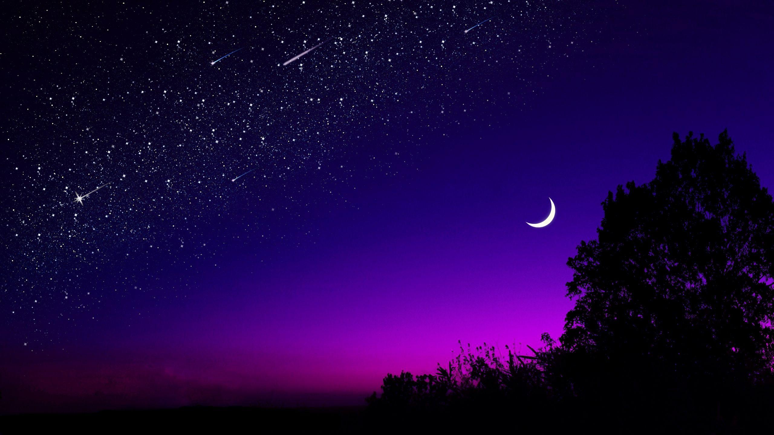 2560x1440 Tải xuống hình nền 2560x1440 mặt trăng, cây, bầu trời đầy sao, đêm