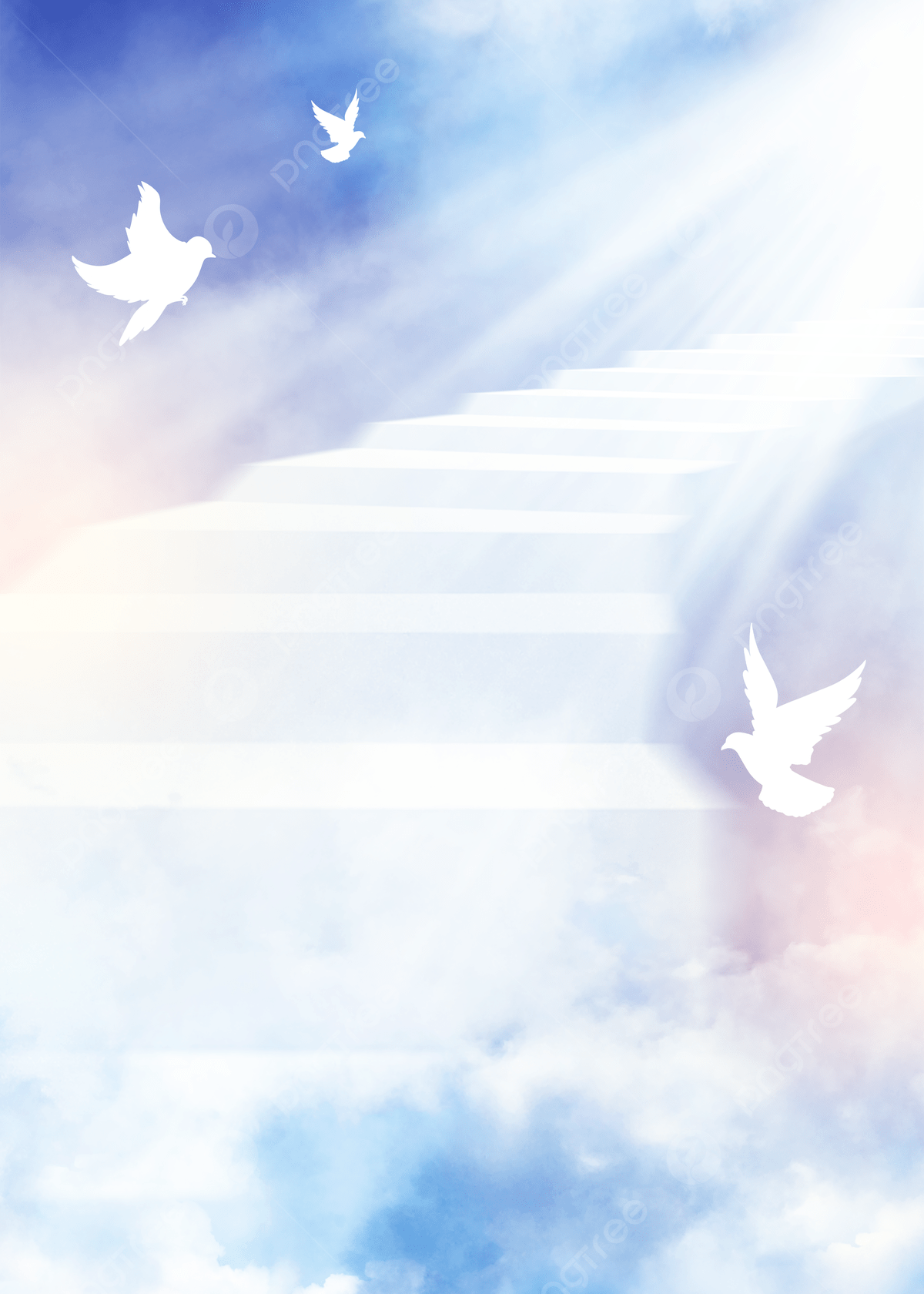 1200x1680 Step Heaven Cloud Dove Of Peace Background Wallpaper Image For Free Download