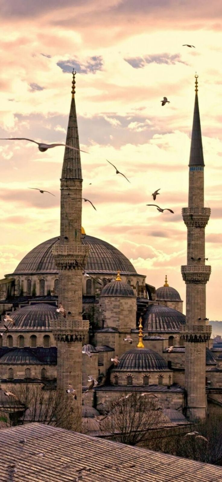 736x1592 Hagia Sofia, Turkey. Hagia sophia, Istanbul photography, Hagia sophia istanbul