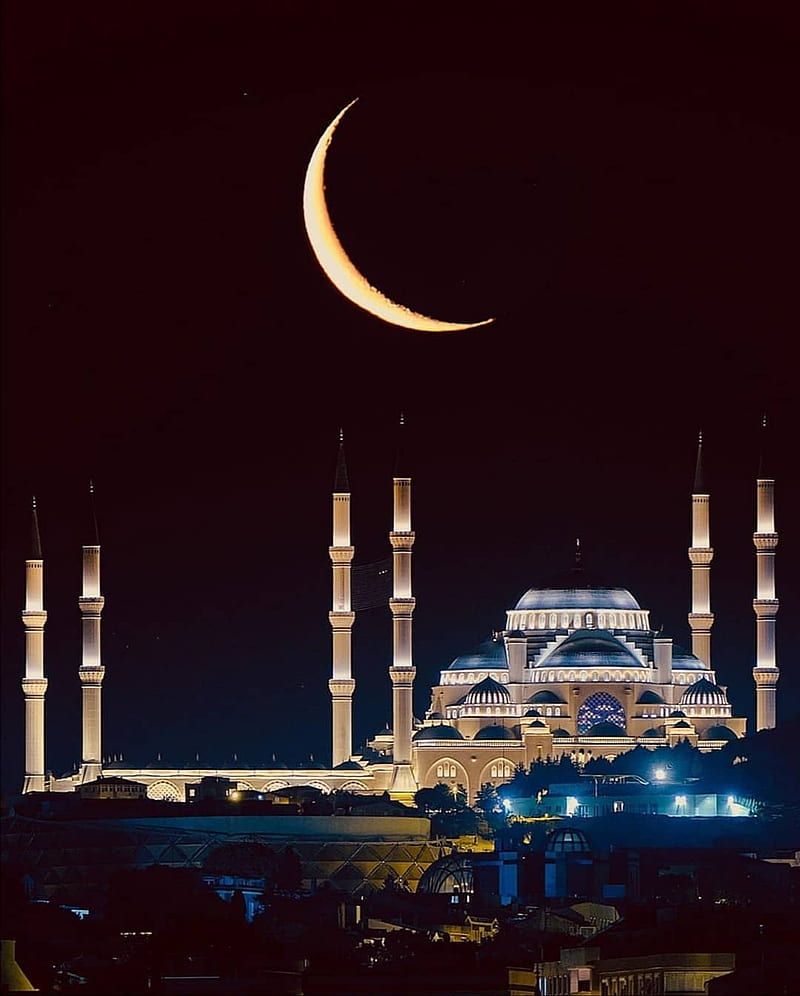 800x996 Hagia sophia, mosque, save, HD phone wallpaper
