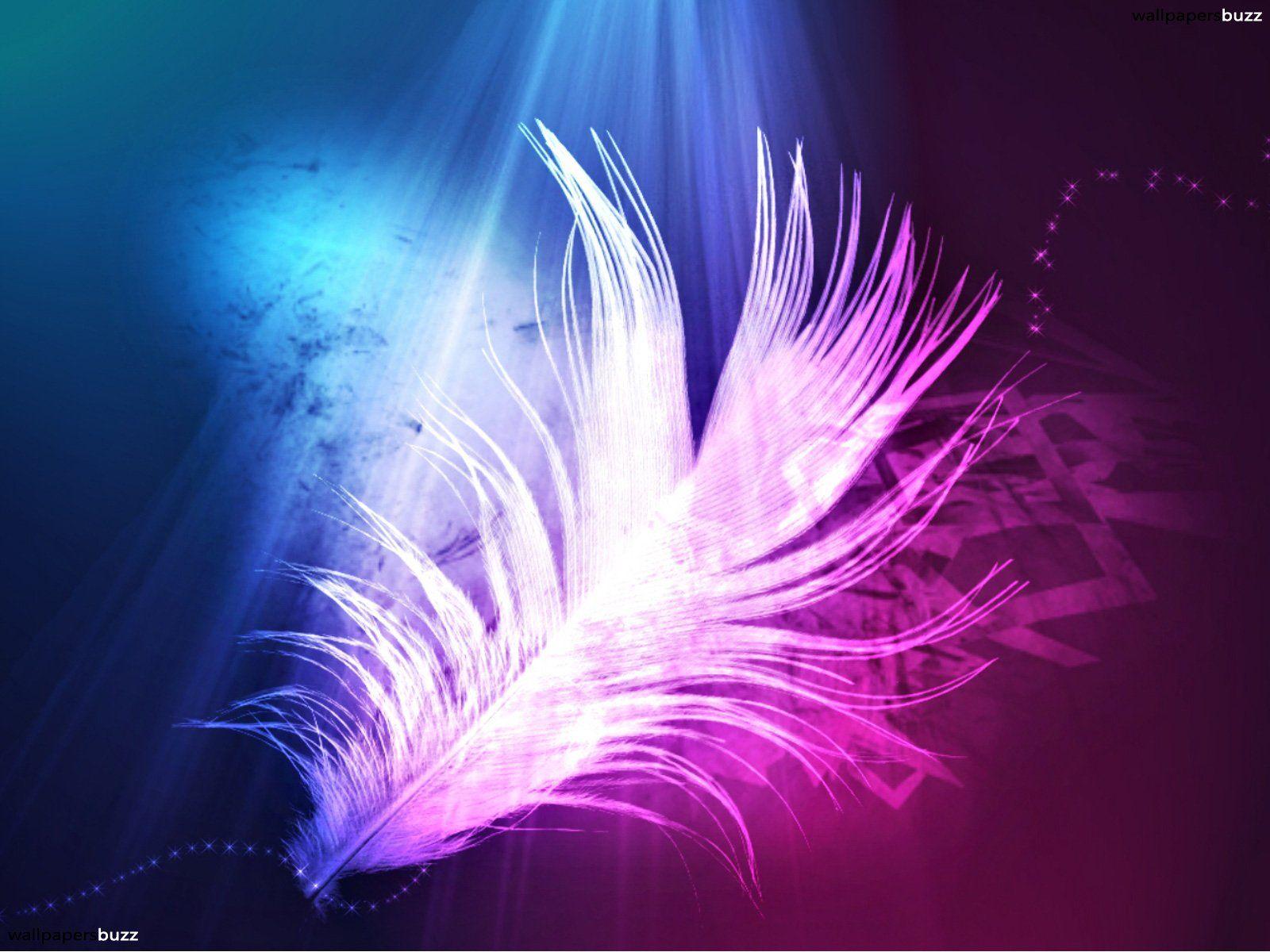 light purple feathers