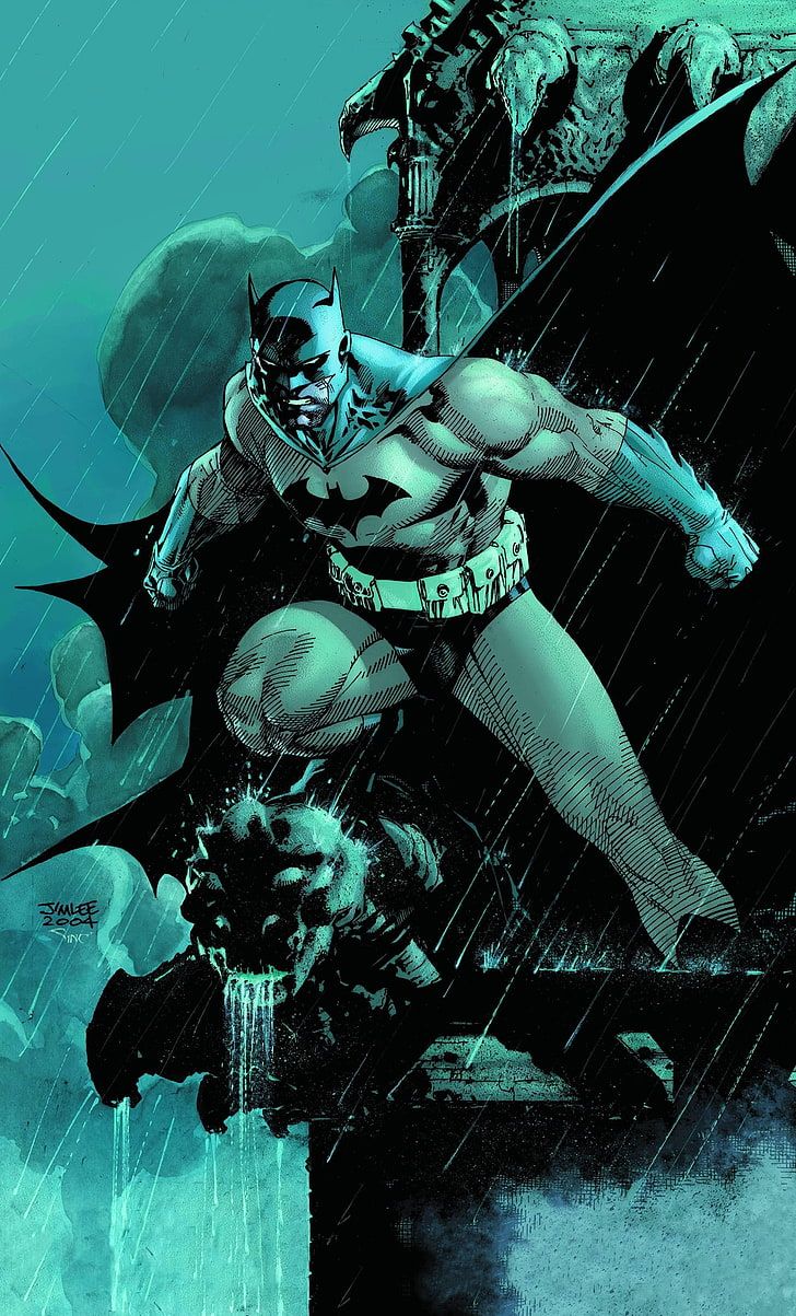 728x1203 HD wallpaper: Batman wallpaper, Bruce Wayne, Jim Lee, Hush, cape, cowl, rain
