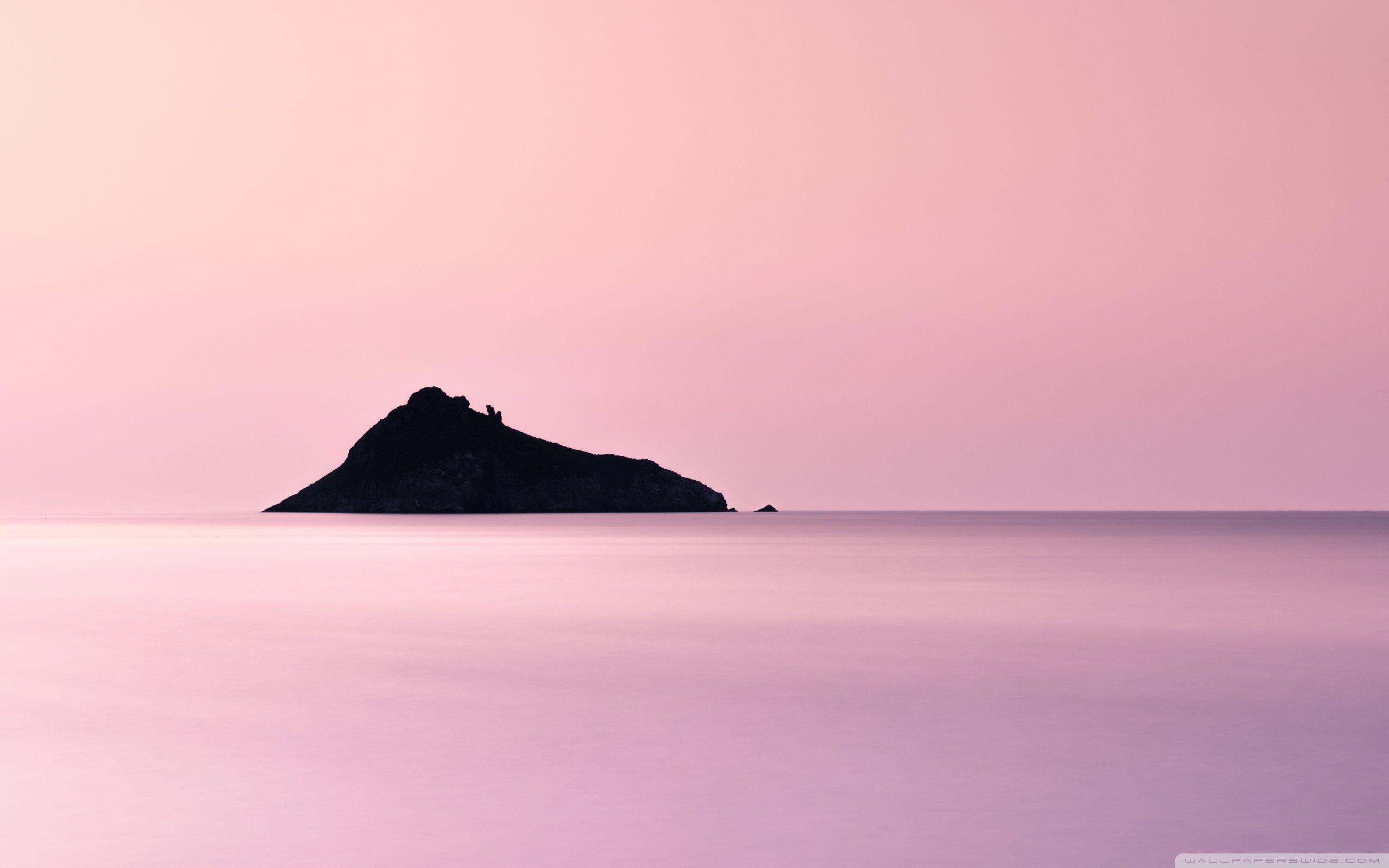 Pink Sea Wallpapers Top Free Pink Sea Backgrounds Wallpaperaccess