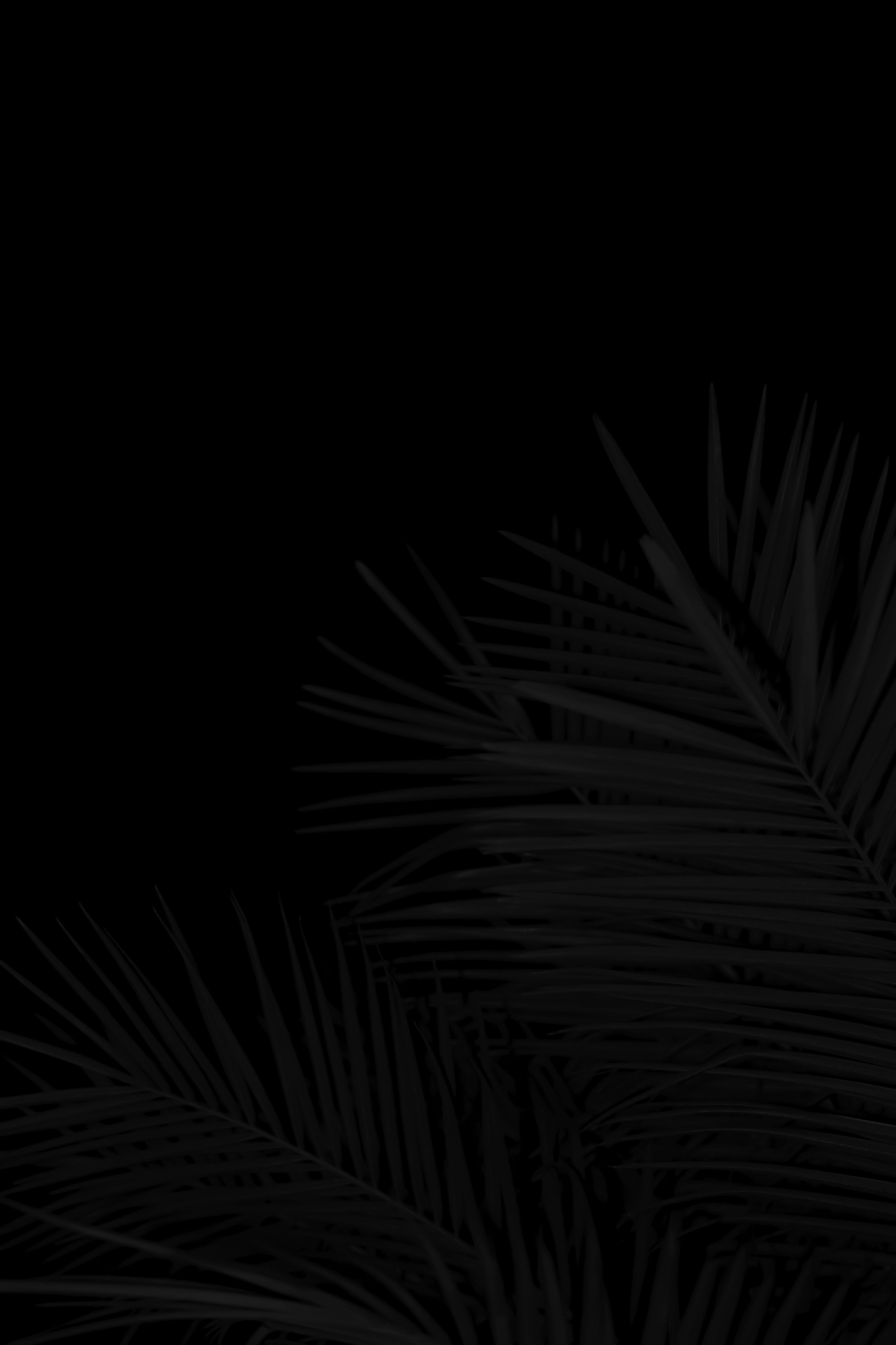 3000x4500 Pure Black Picture. Download Free Image