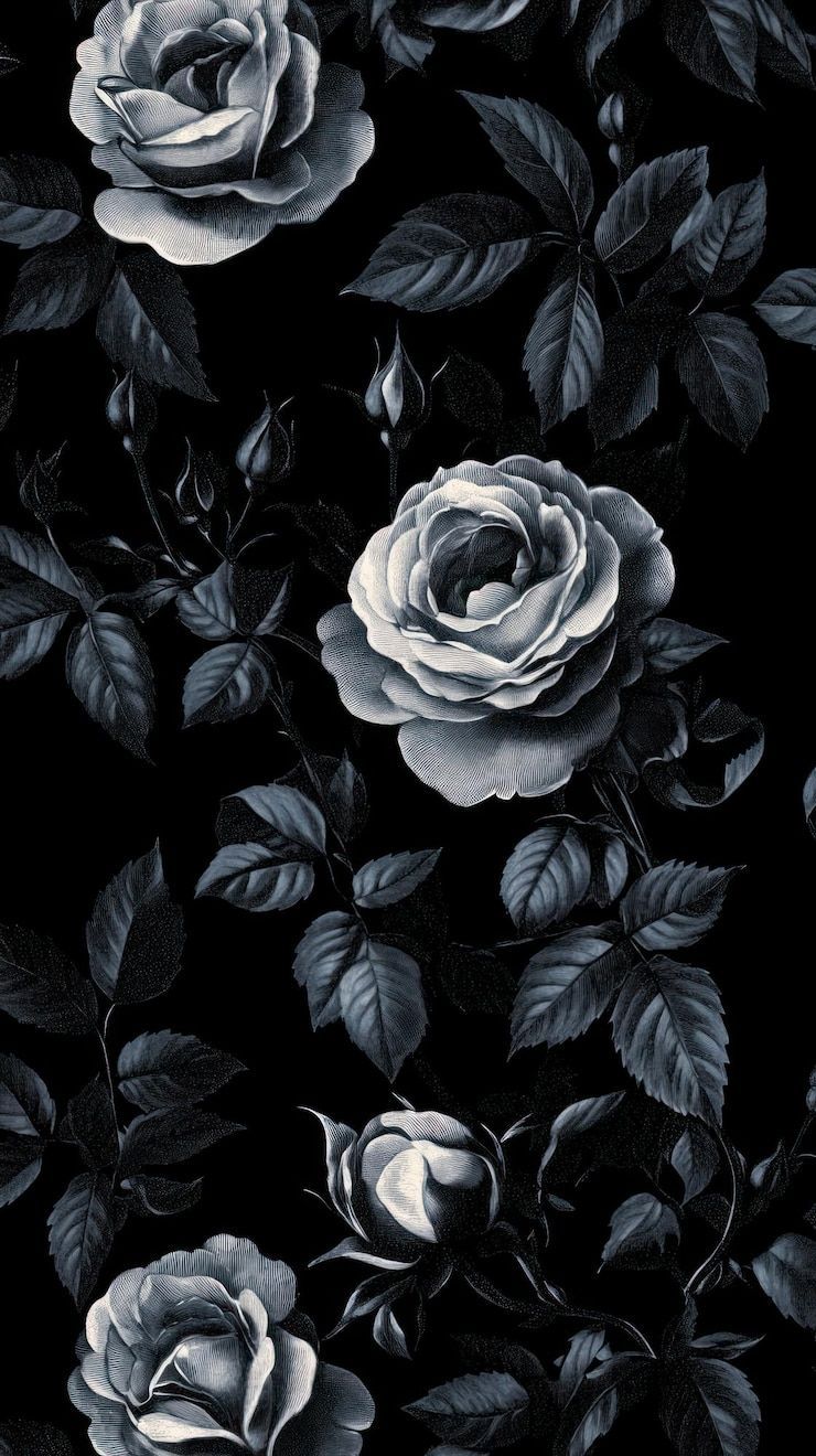 740x1320 Black Rose Wallpaper Image