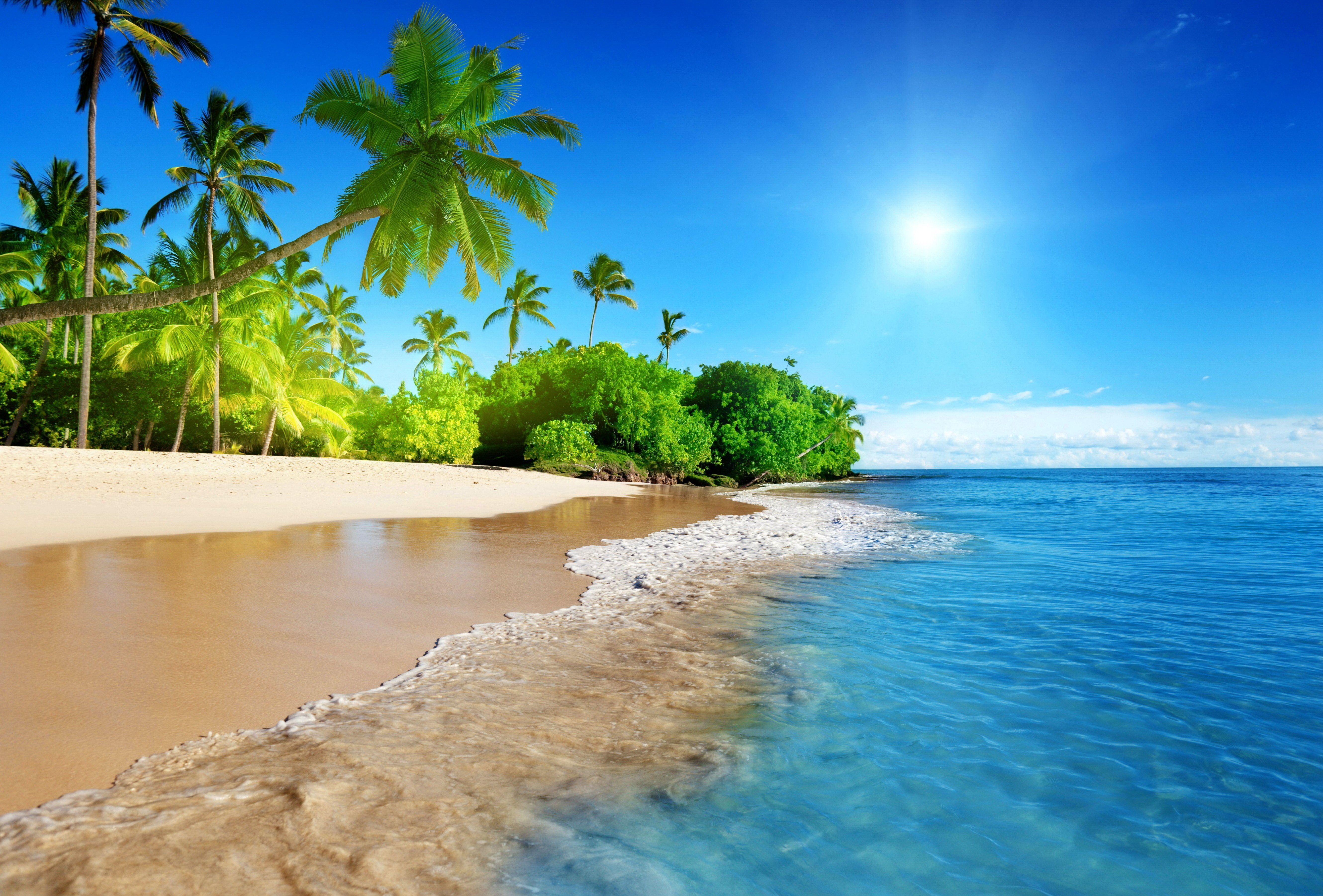 Tropical Paradise Desktop Wallpapers - Top Free Tropical Paradise ...