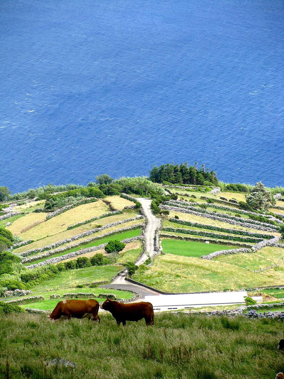 Azores Wallpapers - Top Free Azores Backgrounds - WallpaperAccess