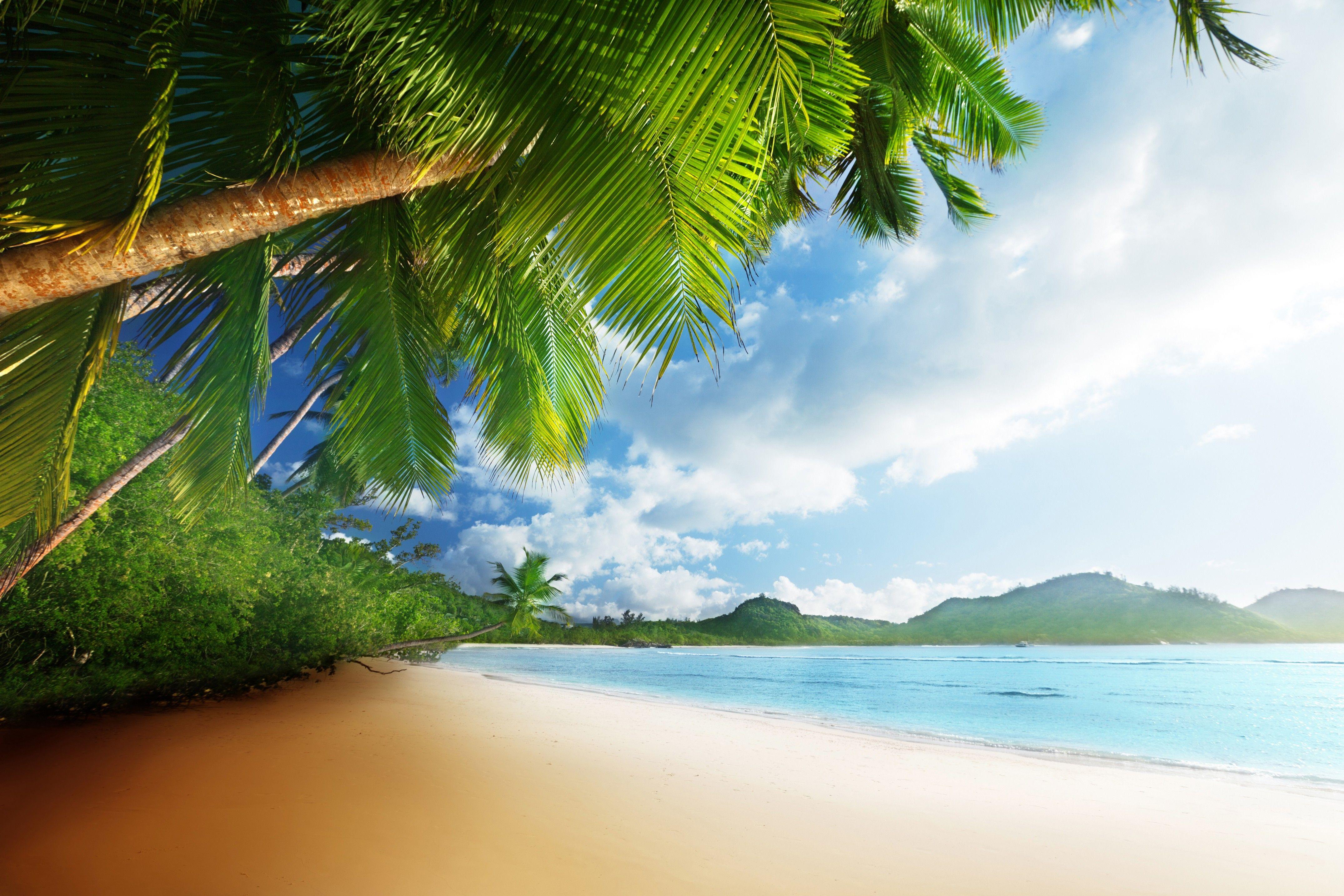 Tropical Paradise Desktop Wallpapers - Top Free Tropical Paradise ...