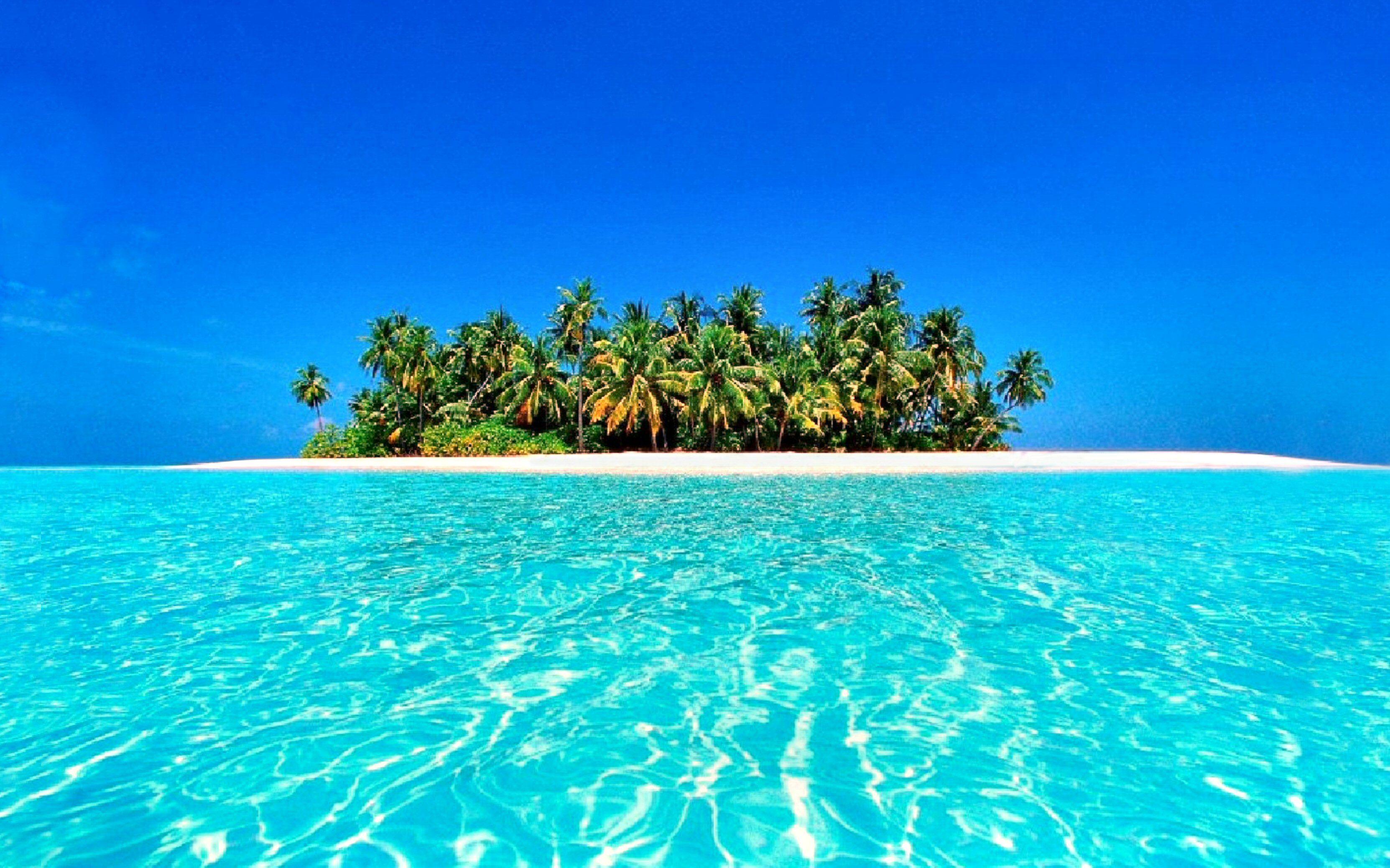 3325x2077 Tropical Wallpaper