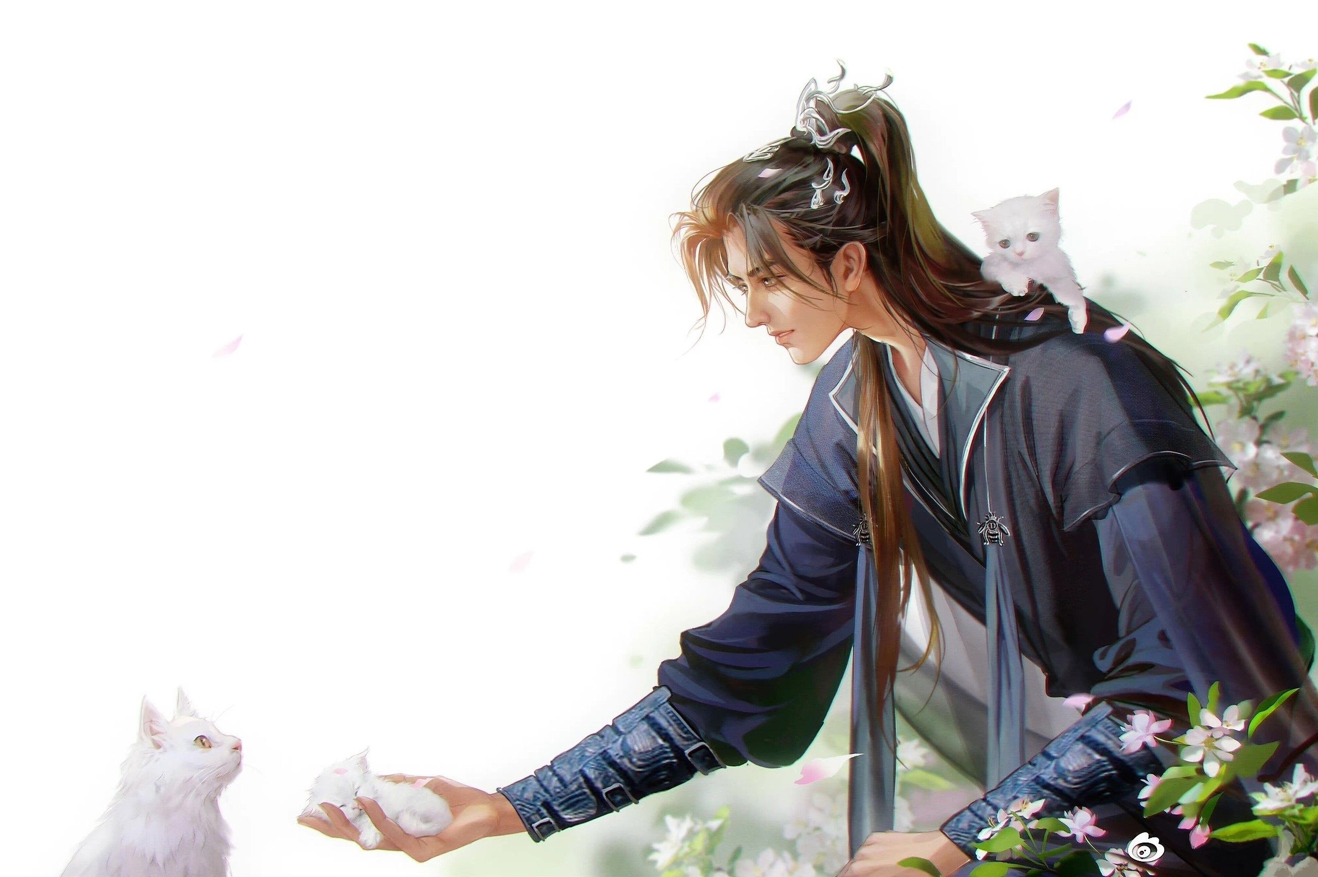 2560x1705 Wallpaper kittens, guy, long hair, white cat, decoration on the head, Shizun, The Husky and His White Cat for mobile and desktop, section сёнэн, resolution 2560x1705