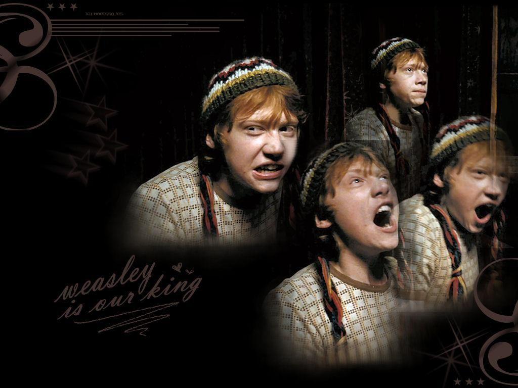 Ron Weasley Wallpaper  Download to your mobile from PHONEKY