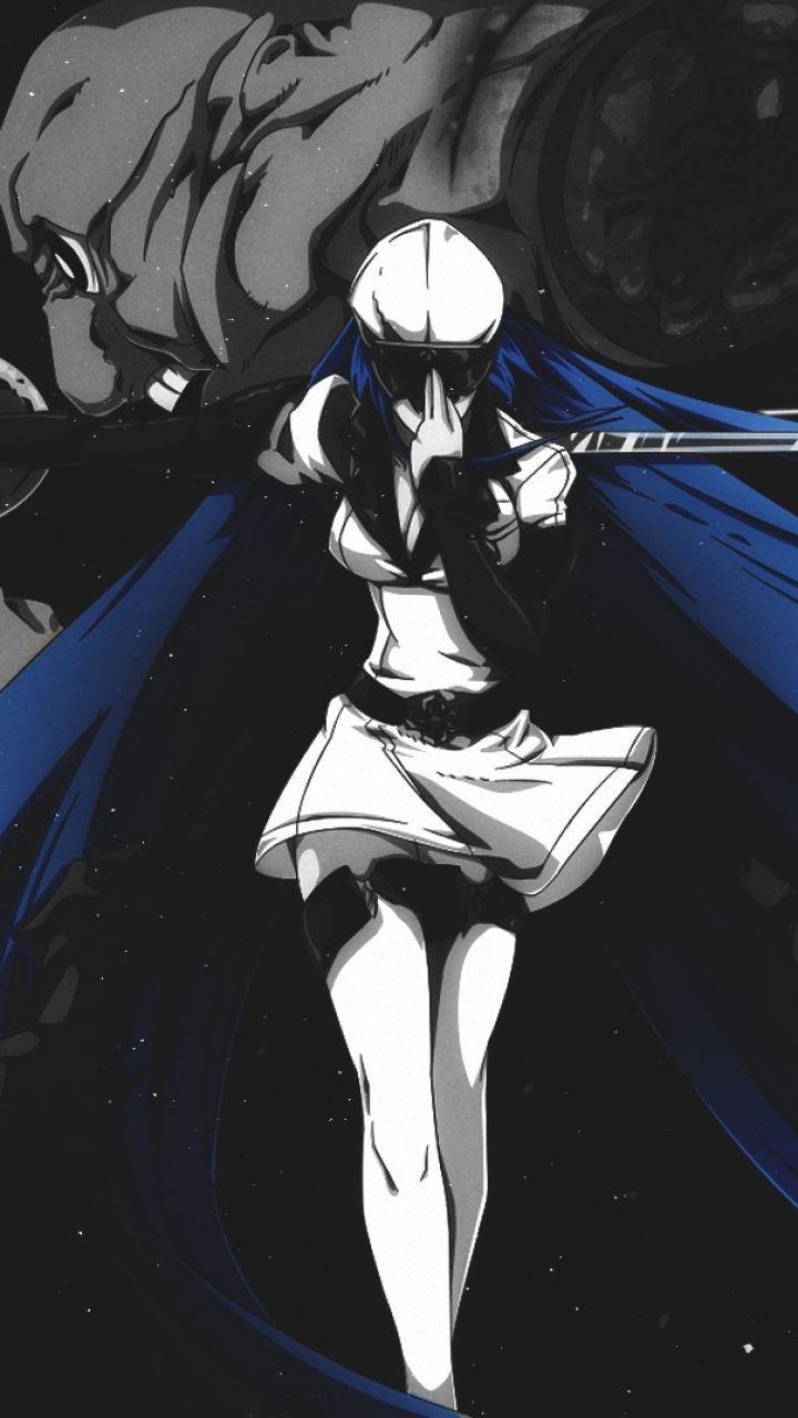 general esdeath figure
