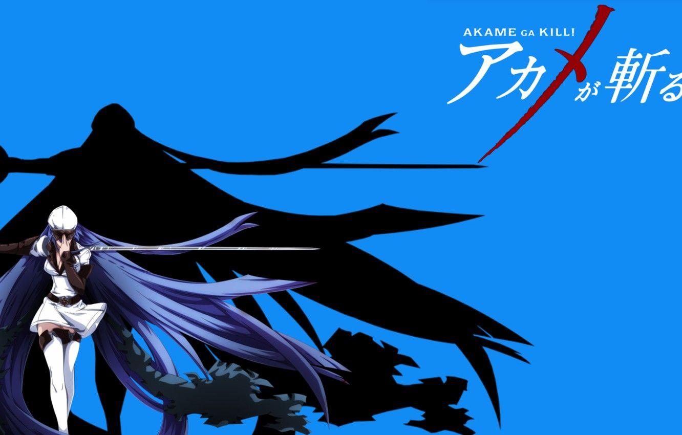 1332x850 Wallpaper blue background, Esdeath, akame ga kill image