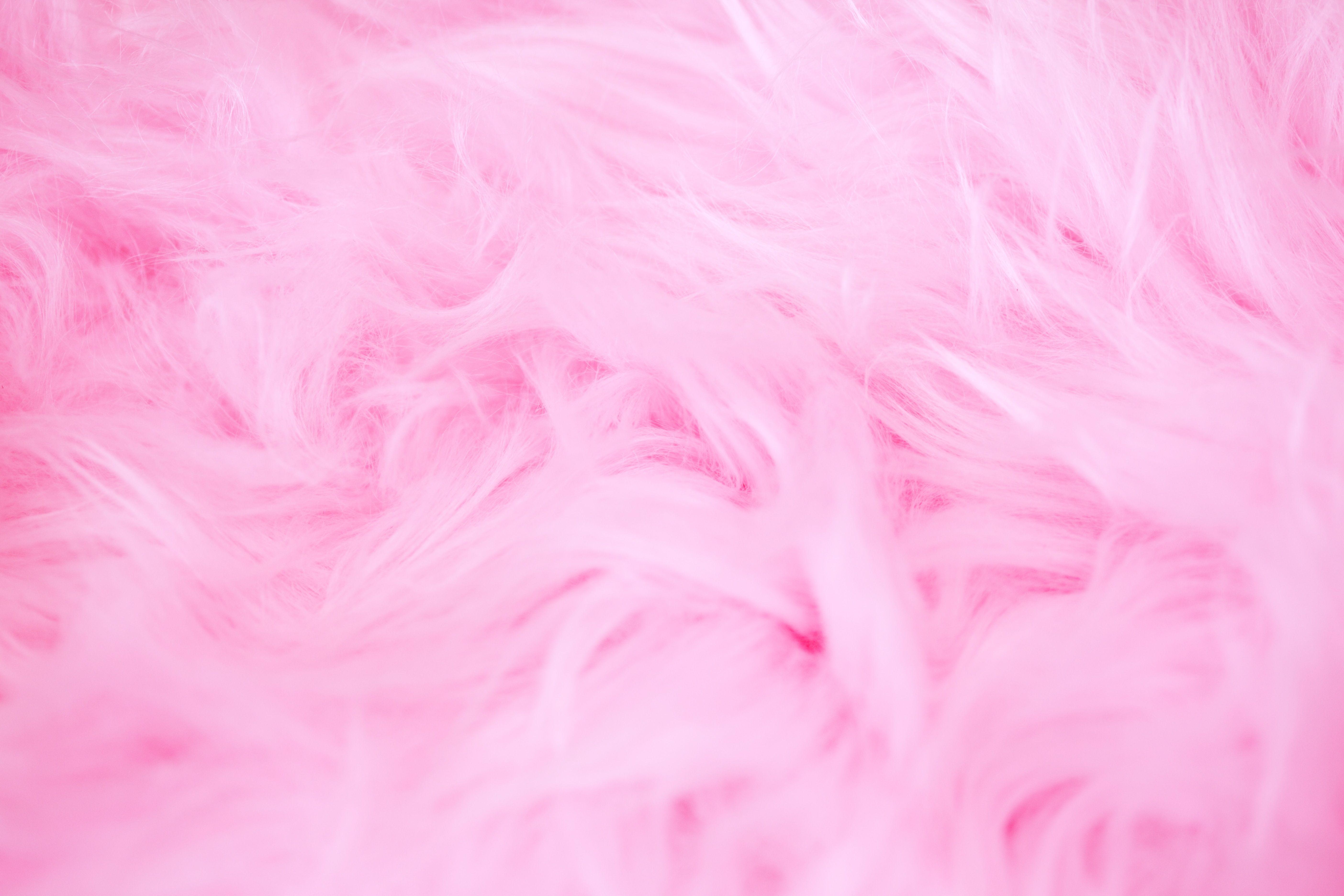 Pink Luxury Wool Natural Fluffy Fur Wool Skin Texture Closeup Use For  Background And Wallpaper Stock Photo Picture And Royalty Free Image Image  146665170