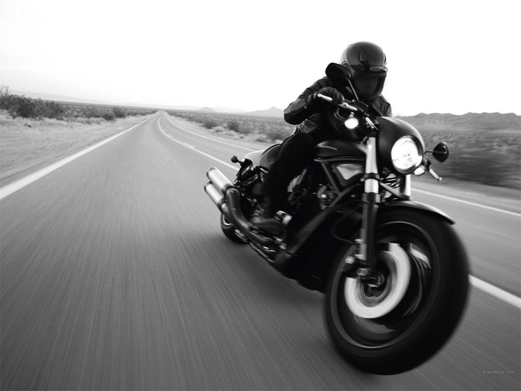 1024x768 Free Harley Davidson Night Rod Wallpaper For Android at