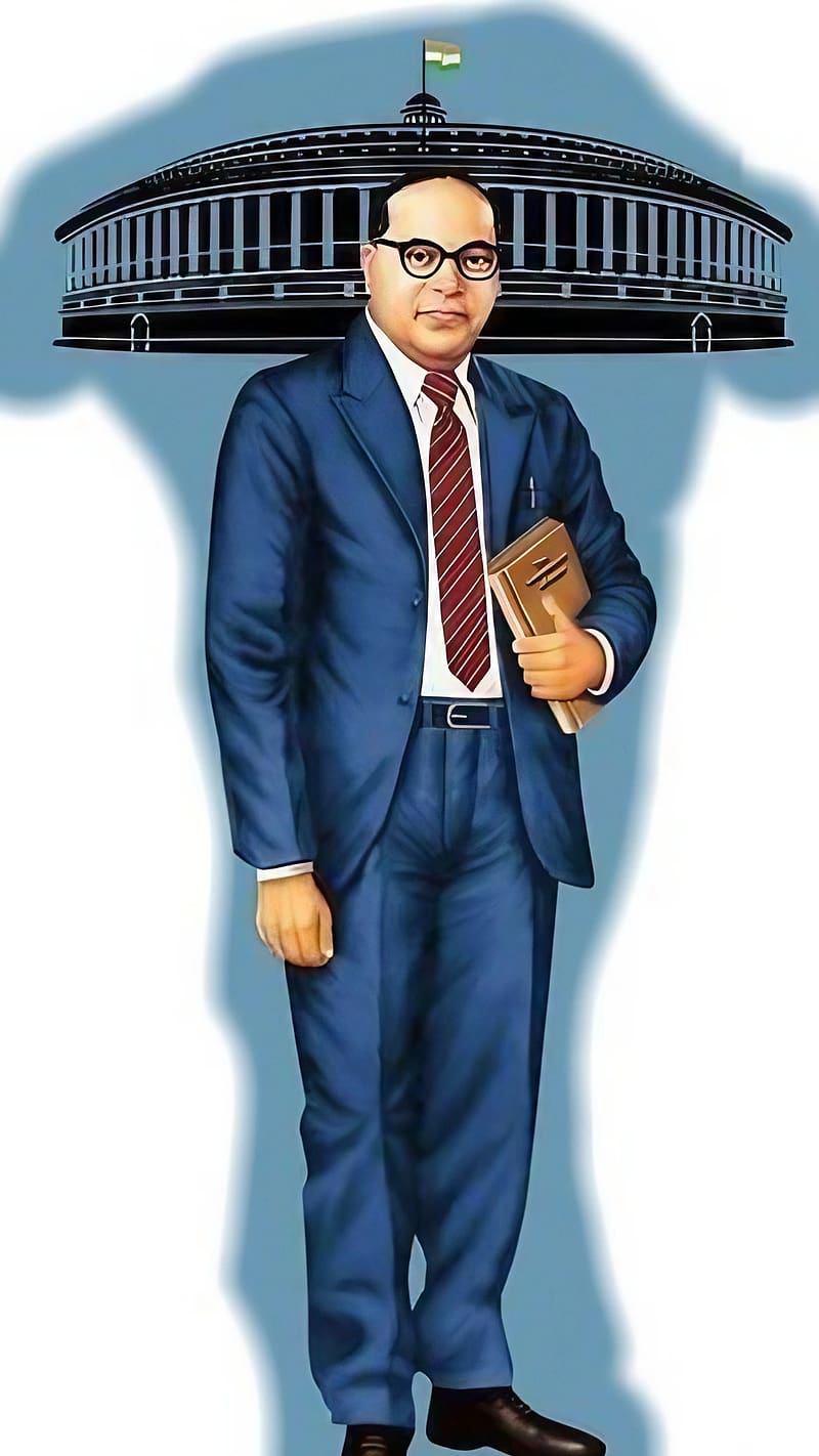 800x1422 Dr Babasaheb Ambedkar, Parliament of India, bhimrao ramji ambedkar, indian jurist, HD phone wallpaper