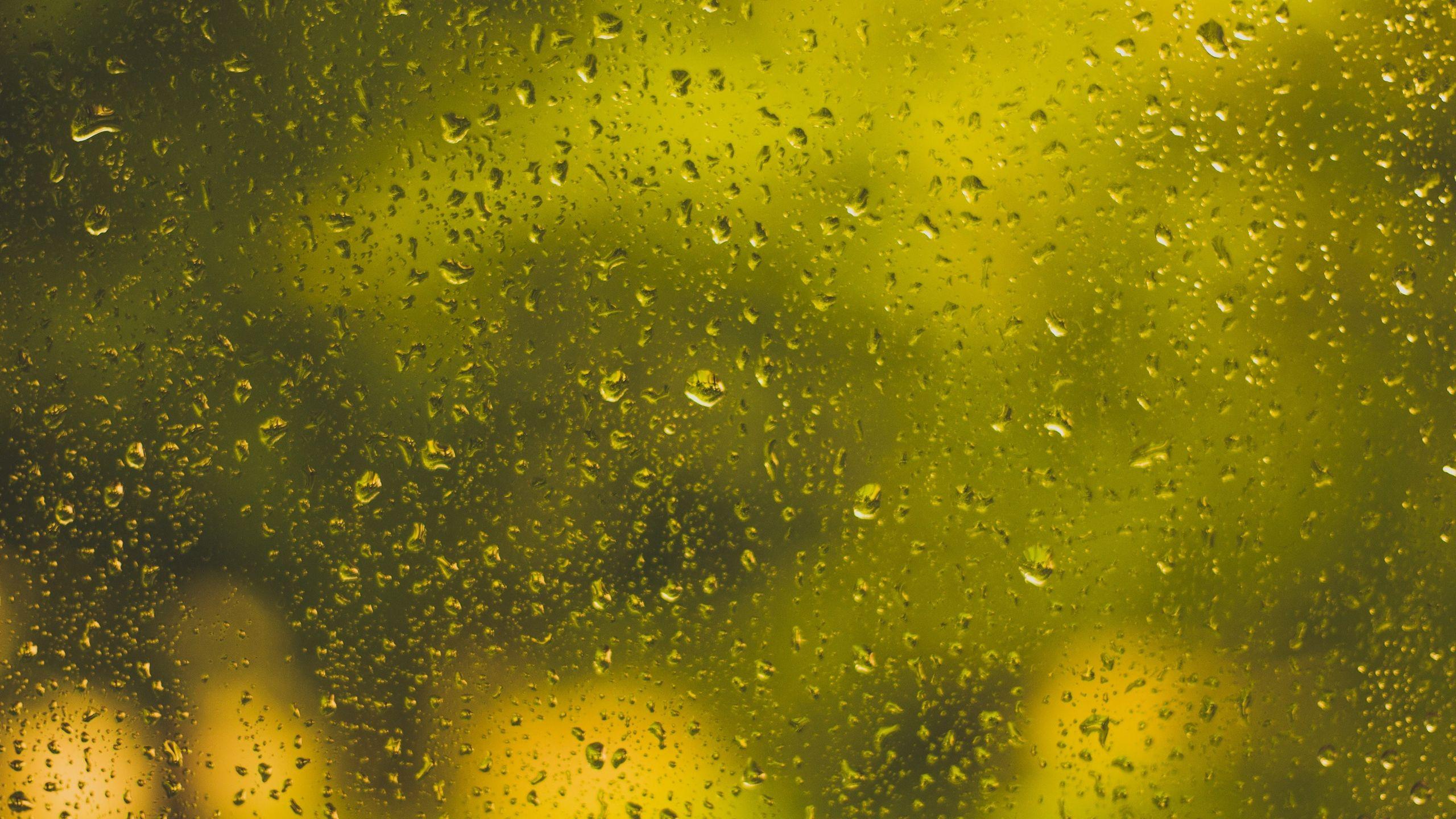 2560x1440 Download wallpaper 2560x1440 drops, glass, surface, yellow