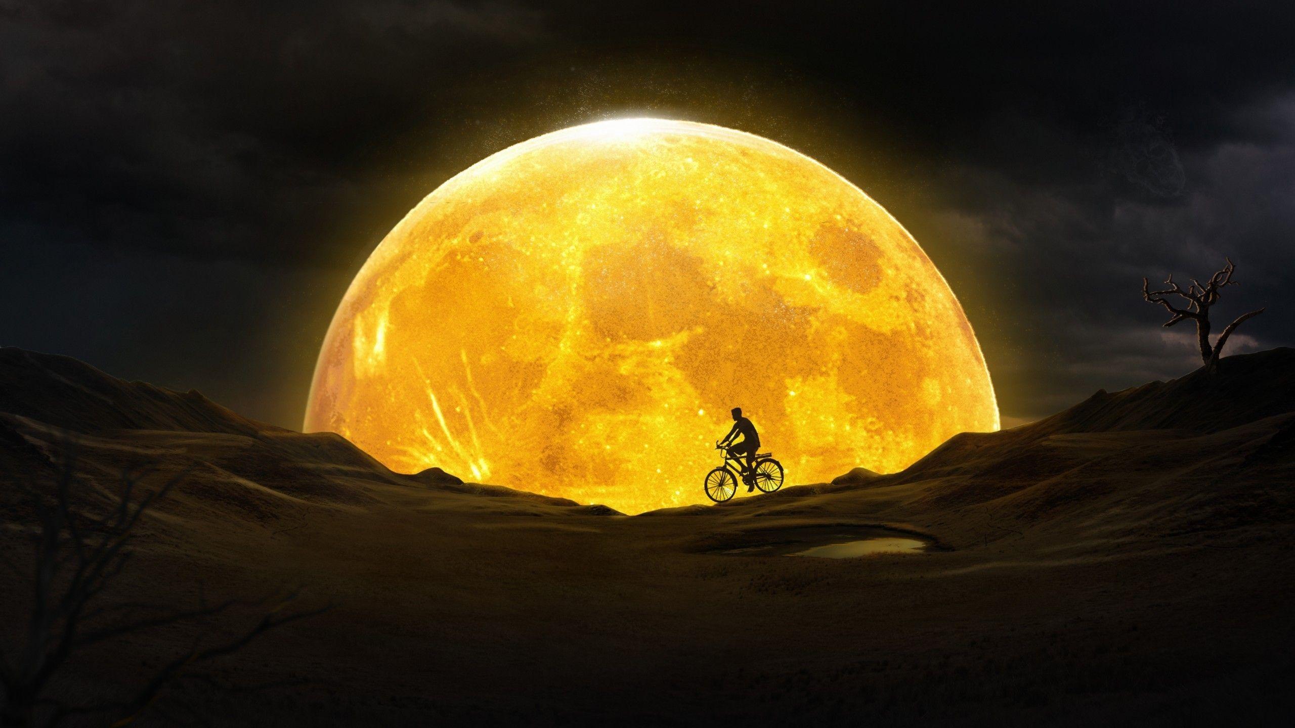 2560x1440 Download 2560x1440 Yellow Moon, Man, Bicycle, Surface