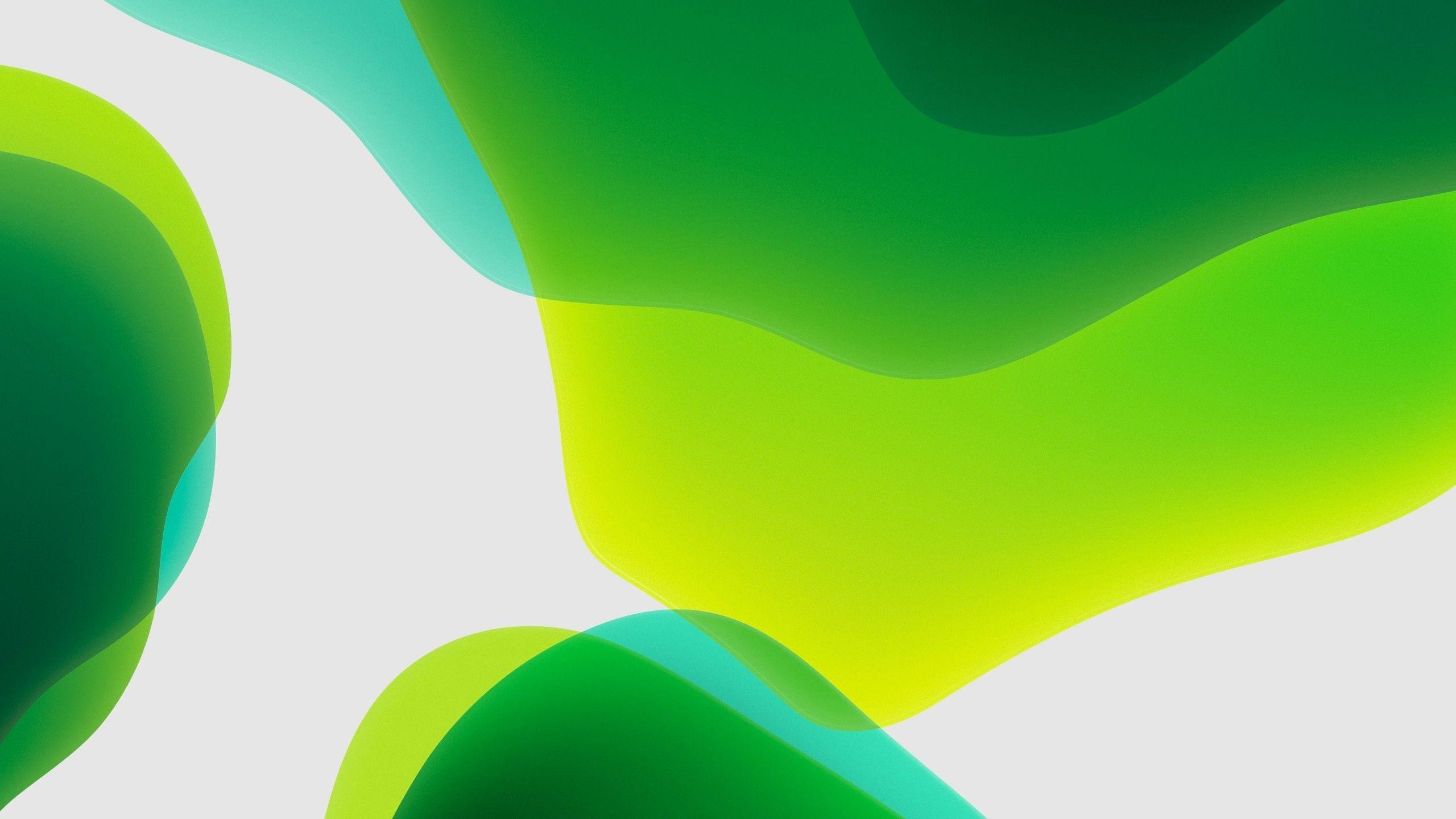 2560x1440 Download 2560x1440 Green Bubbles, iPados Stock Wallpaper