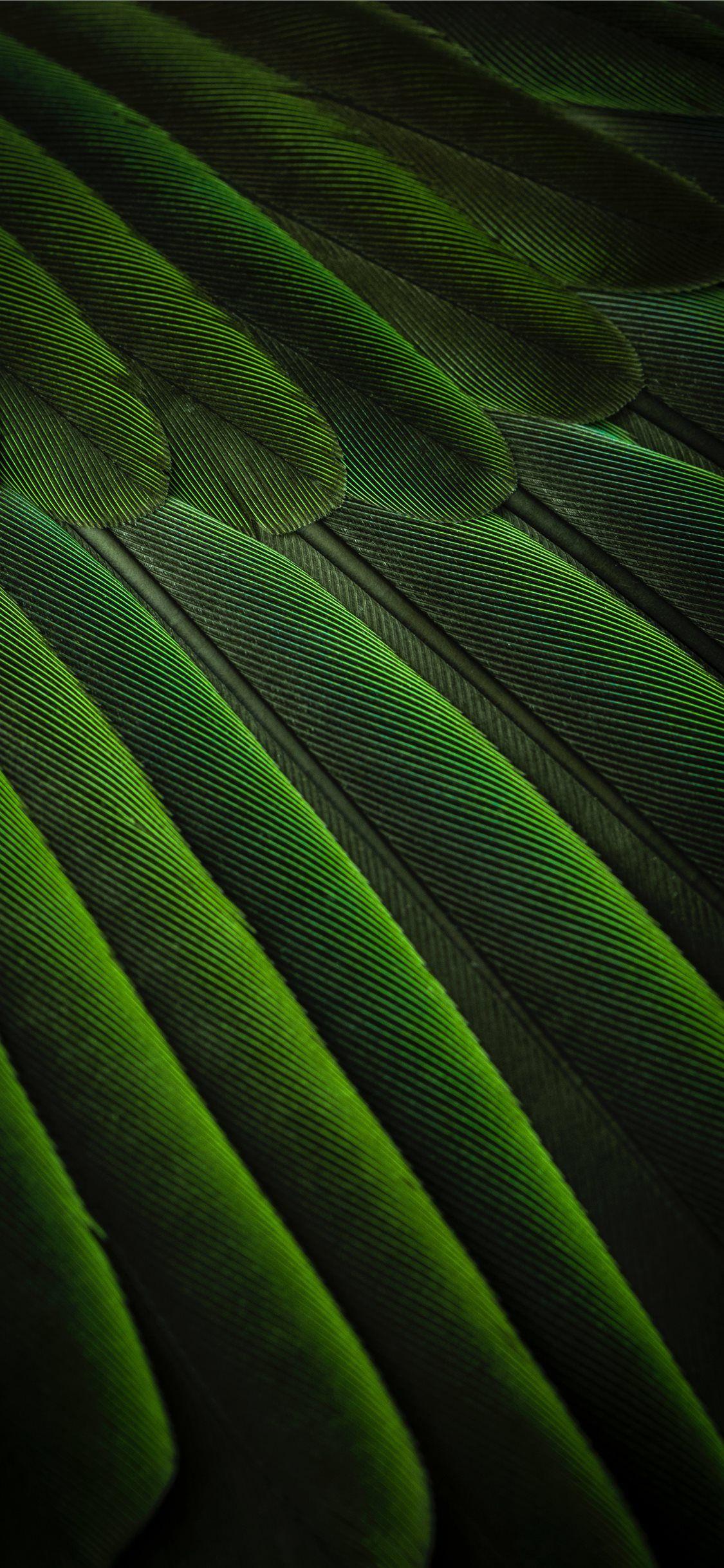 Simplicity Wallpapers - Top Free Simplicity Backgrounds - WallpaperAccess