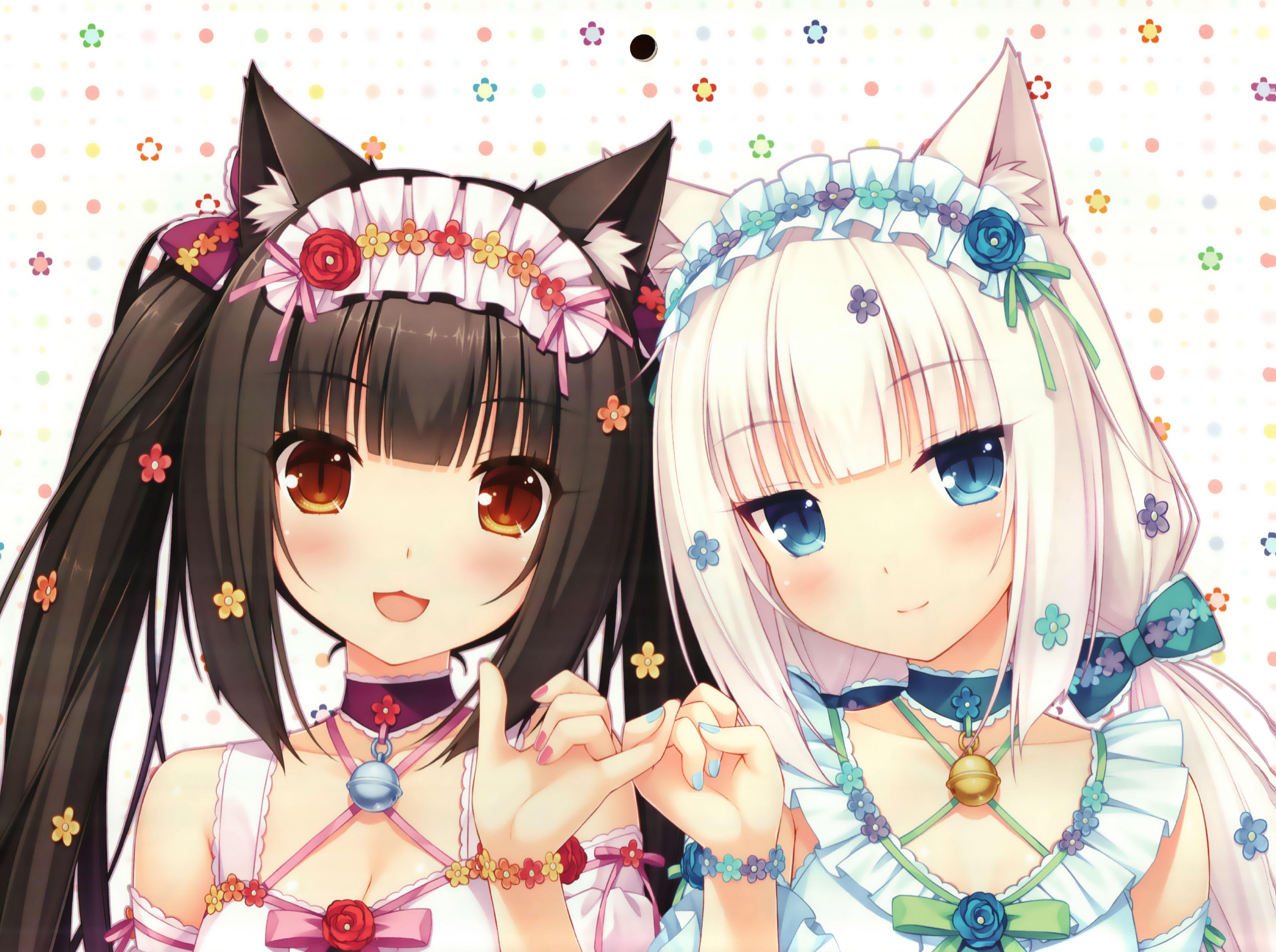 Nekopara Wallpapers Top Free Nekopara Backgrounds Wallpaperaccess