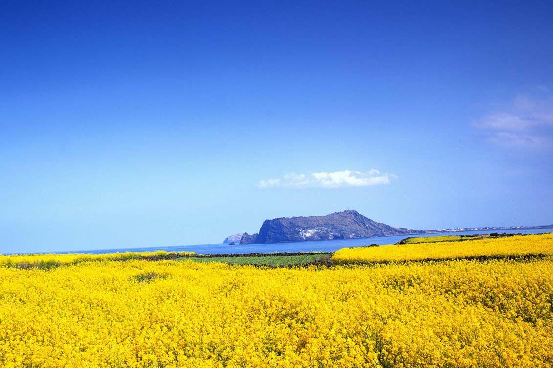 1131x752 Jeju Island Wallpaper