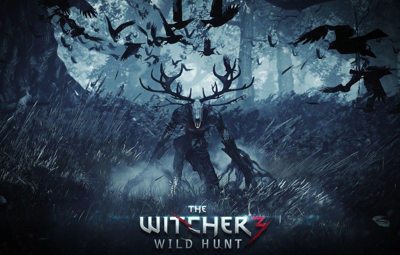 1332x850 Wallpaper The Witcher, Witcher, The Witcher 3 Wild Hunt