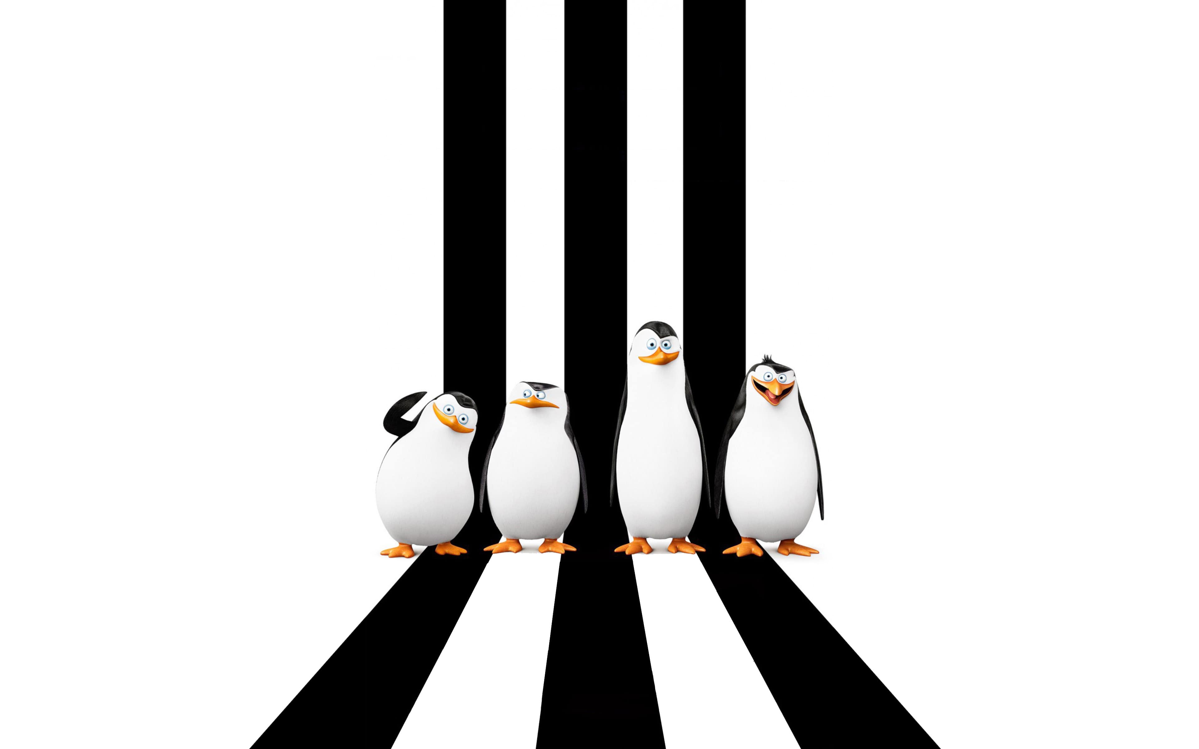 Penguins Of Madagascar Wallpapers Top Free Penguins Of Madagascar Backgrounds Wallpaperaccess