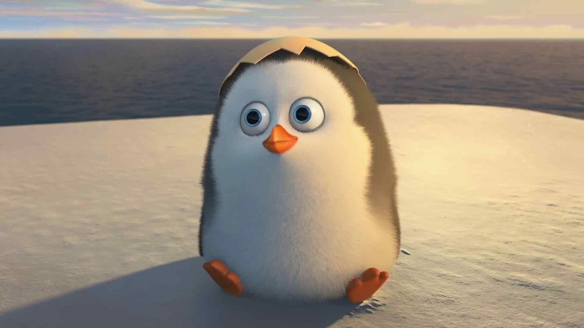 1920x1080 Penguins of Madagascar Wallpaper