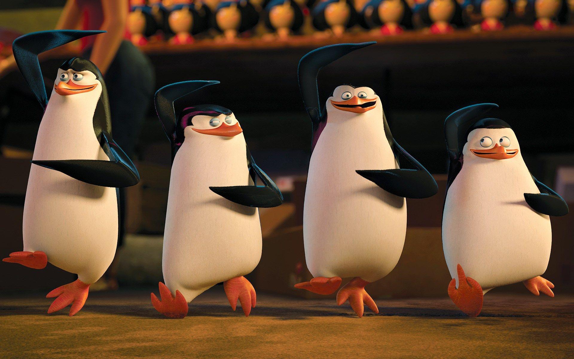 1920x1200 penguins of madagascar full HD. Movie. Tokkoro