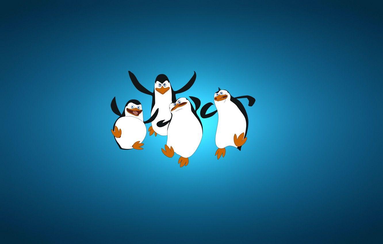 1332x850 Wallpaper minimalism, blue background, four, The Penguins