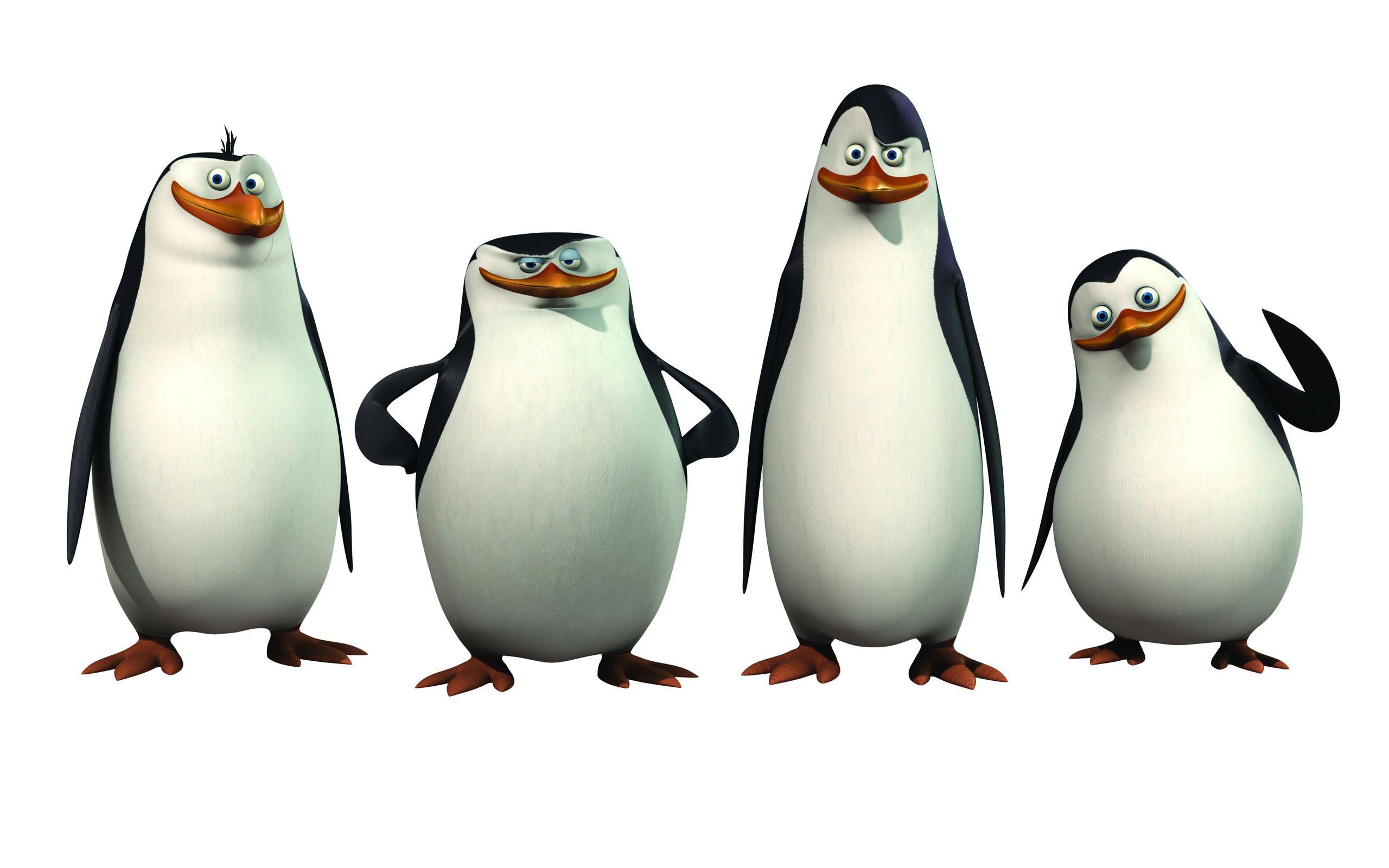 2560x1600 The Penguins of Madagascar wallpaperx1600