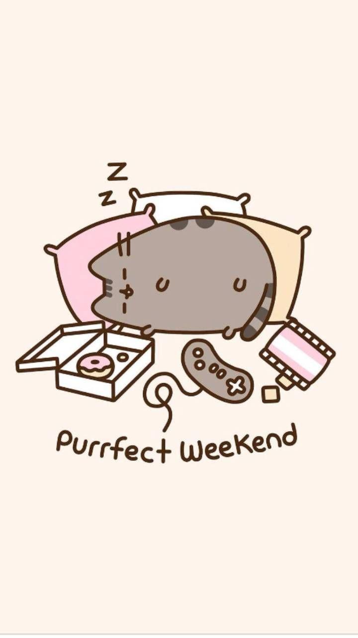 720x1280 Pusheen wallpaper